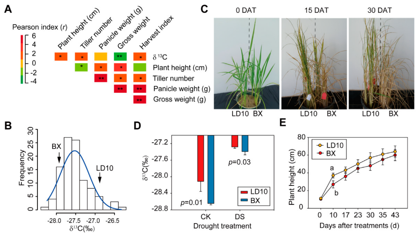 Agronomy 12 01445 g002