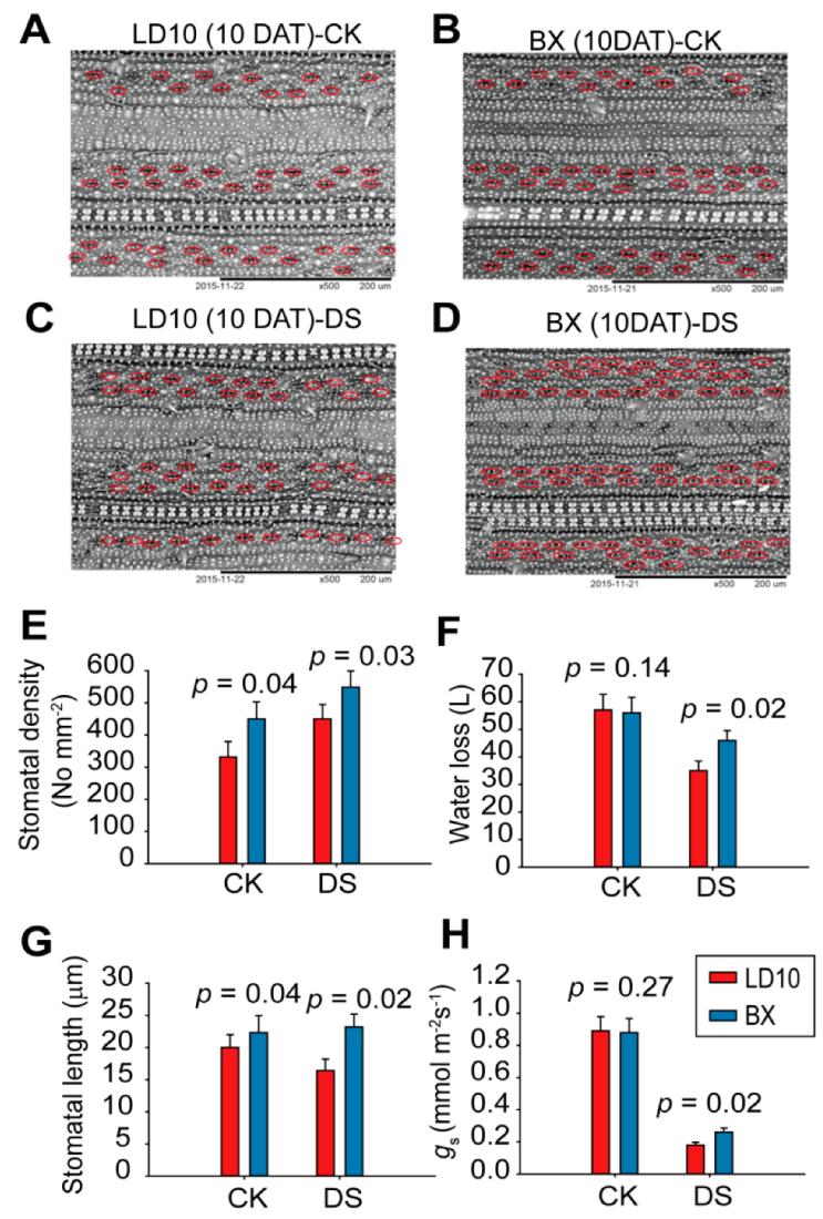 Agronomy 12 01445 g003