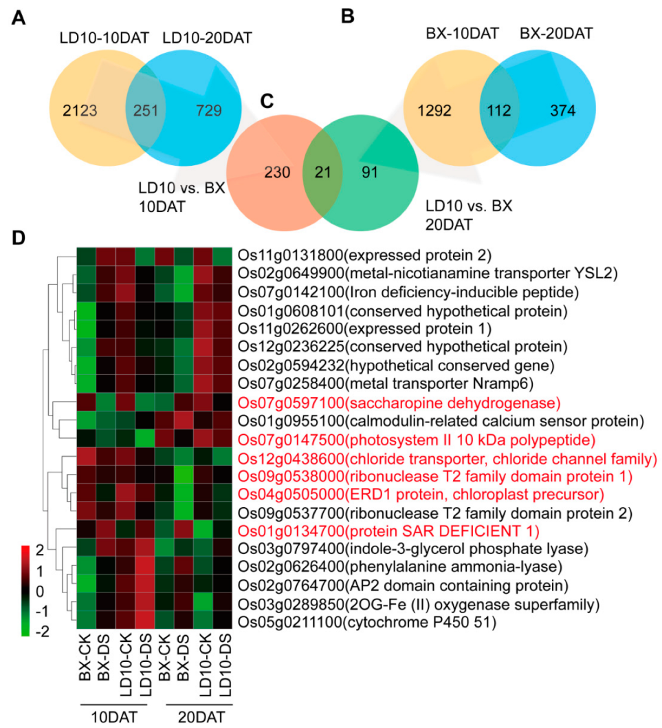 Agronomy 12 01445 g006