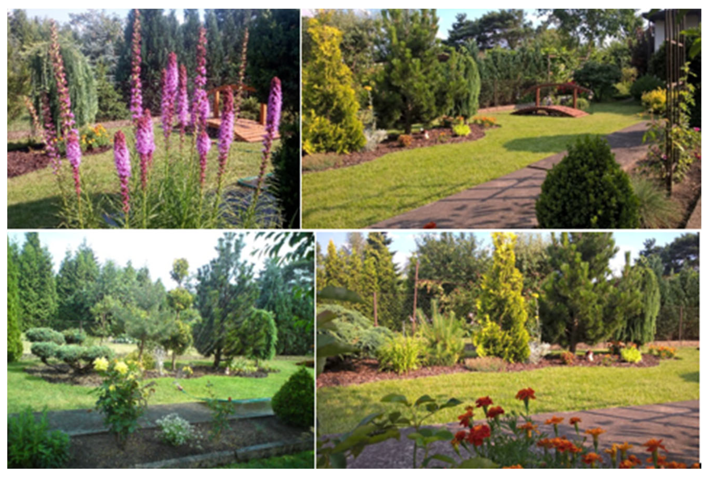 Agronomy 12 01447 g001