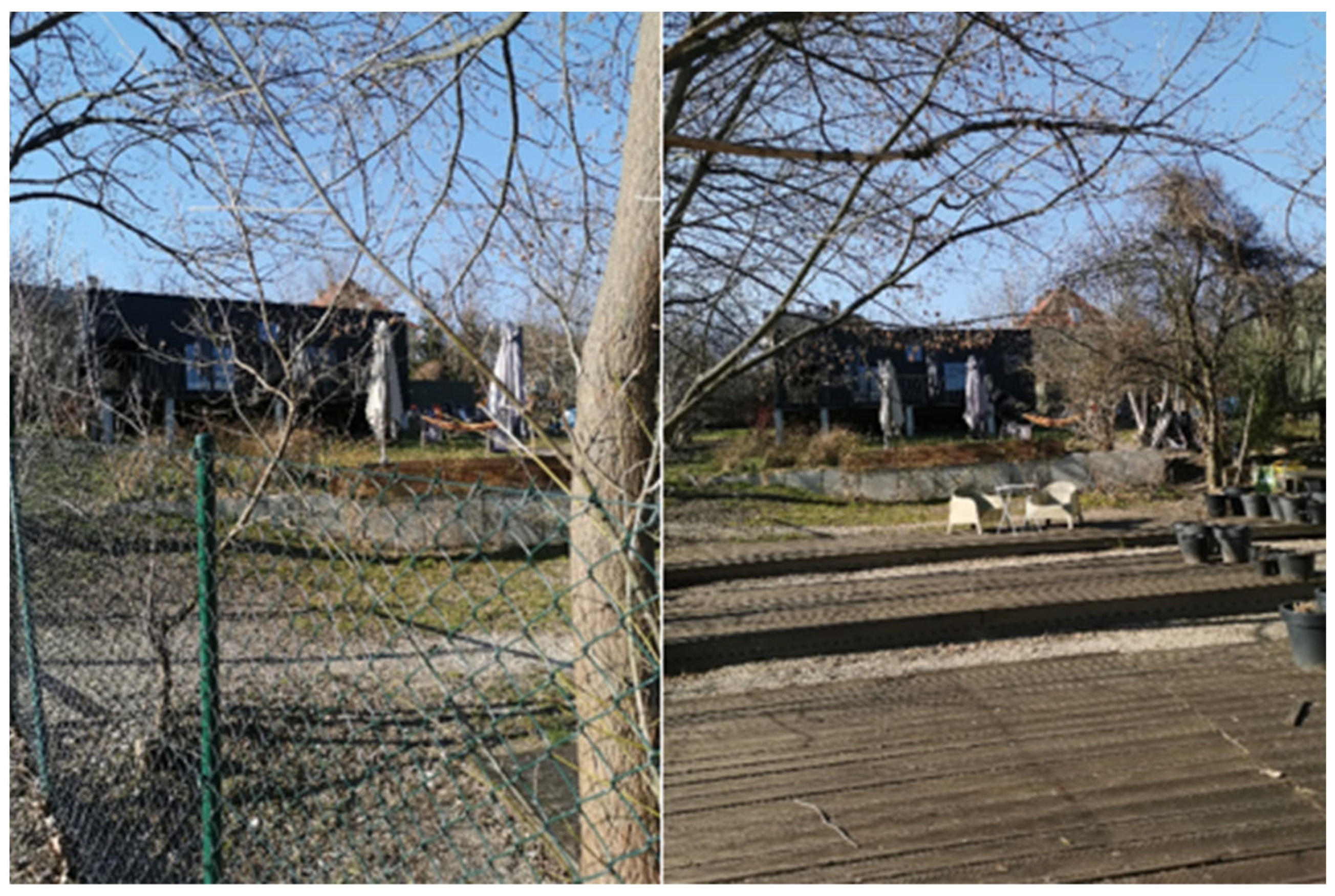 Agronomy 12 01447 g004