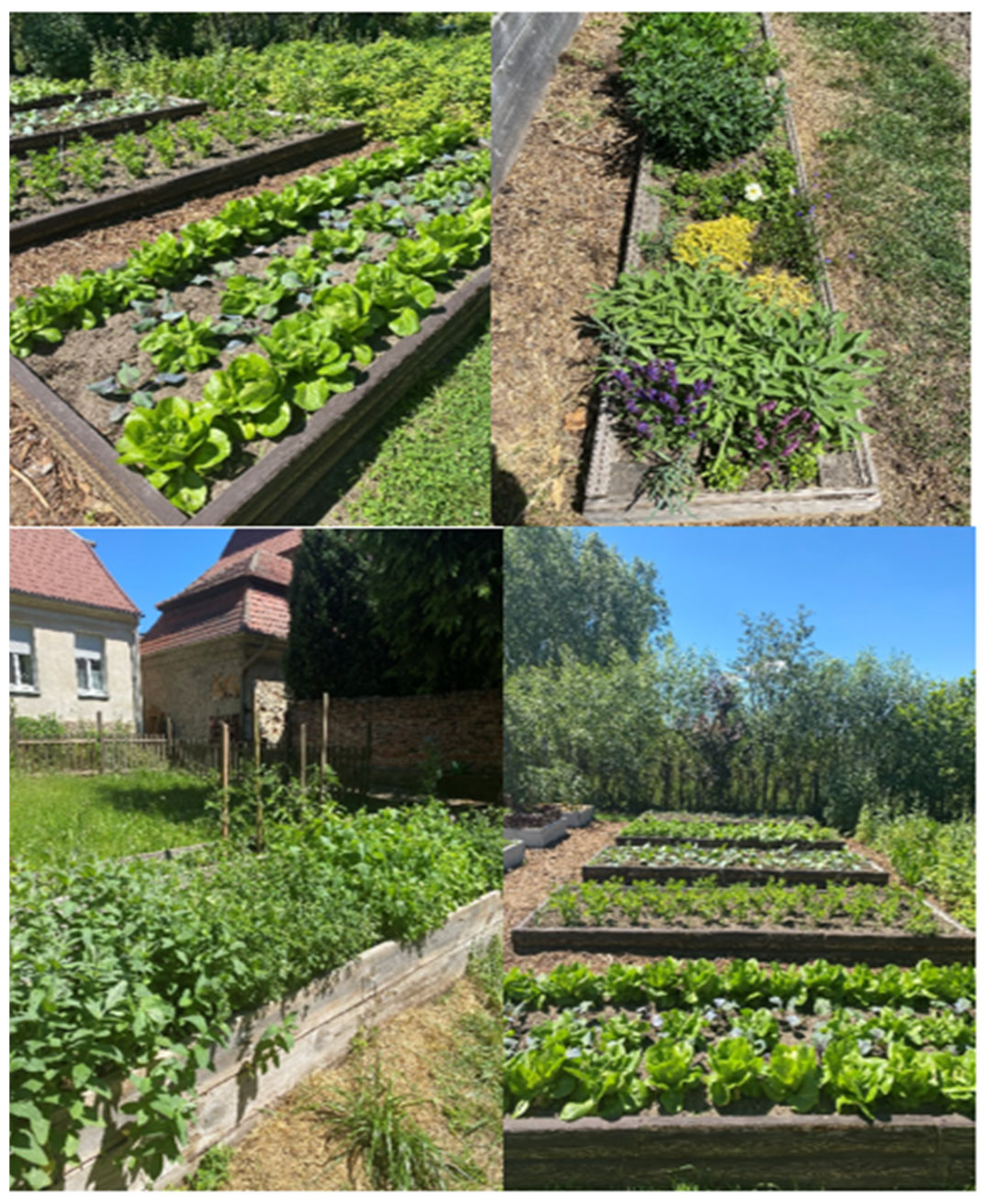 Agronomy 12 01447 g006