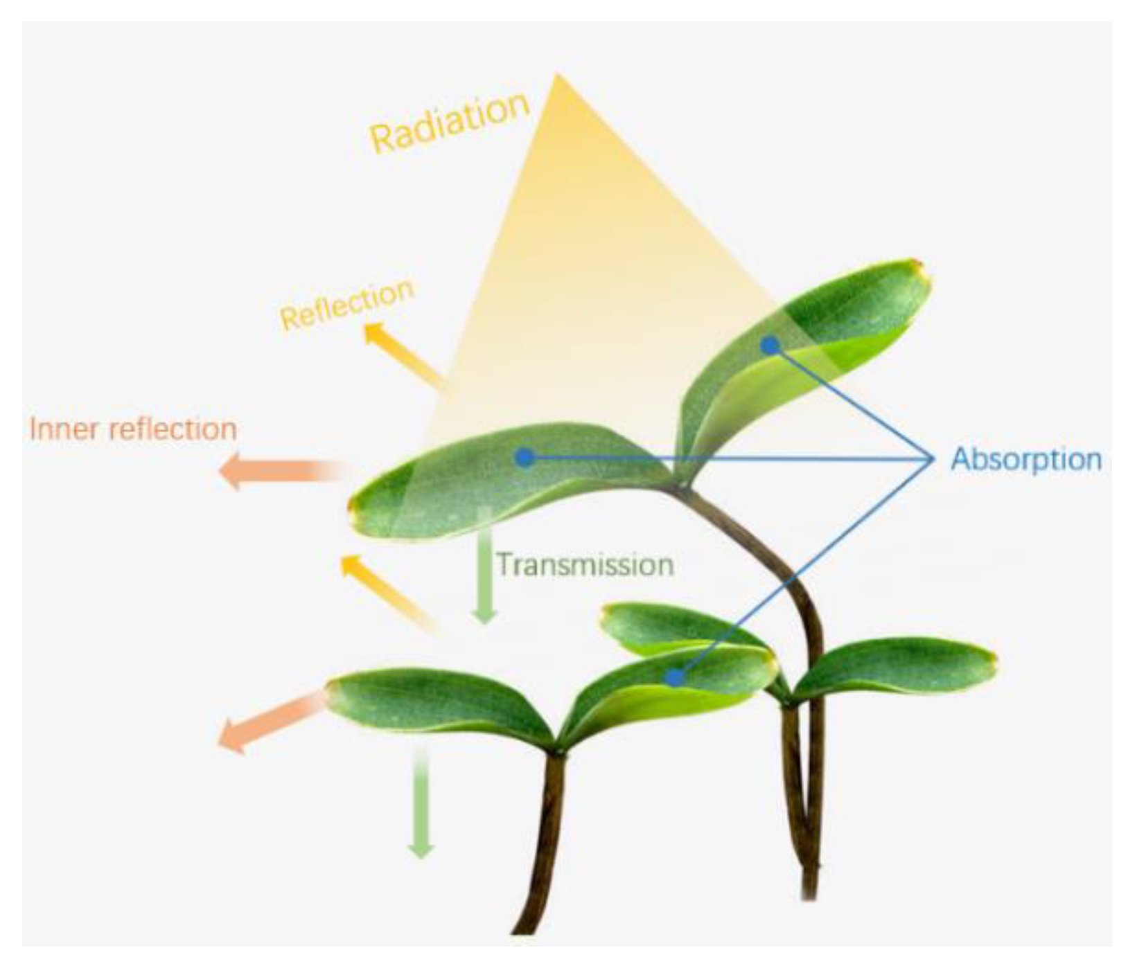 Agronomy 12 01451 g003