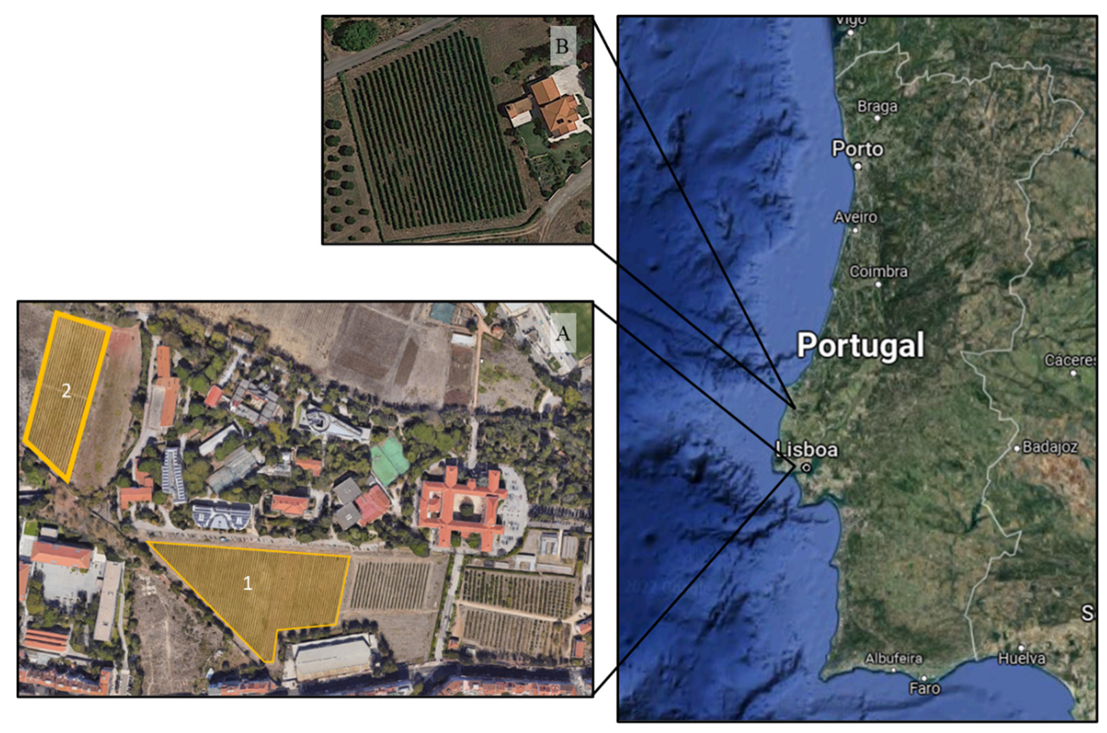 Agronomy 12 01464 g001