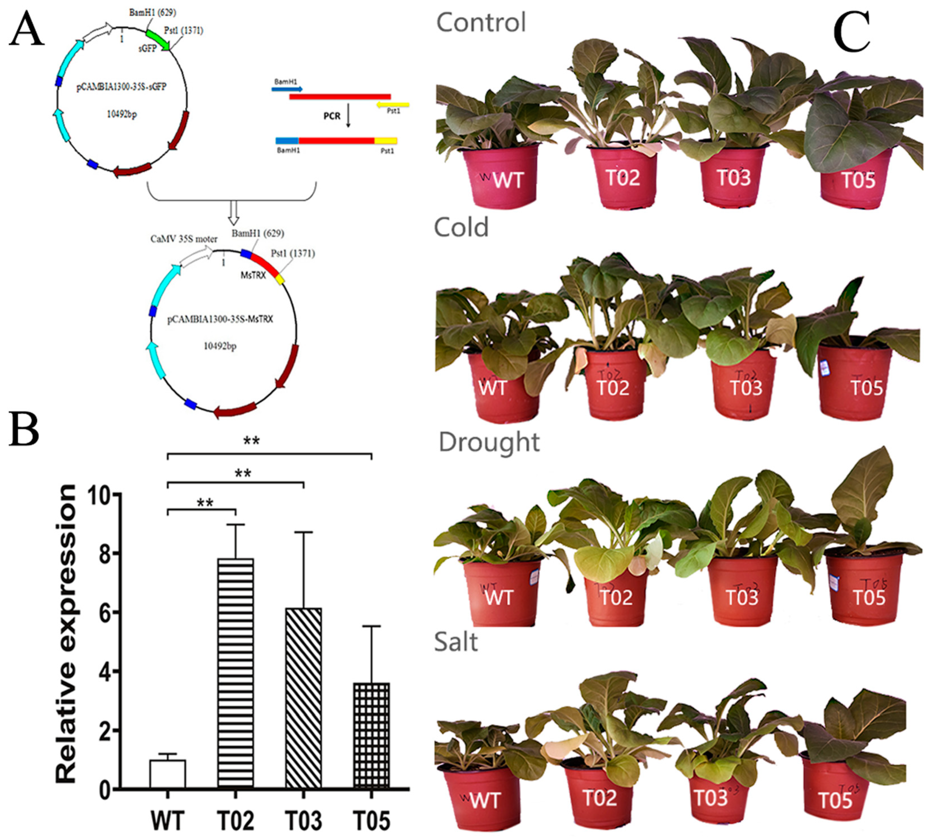 Agronomy 12 01467 g002