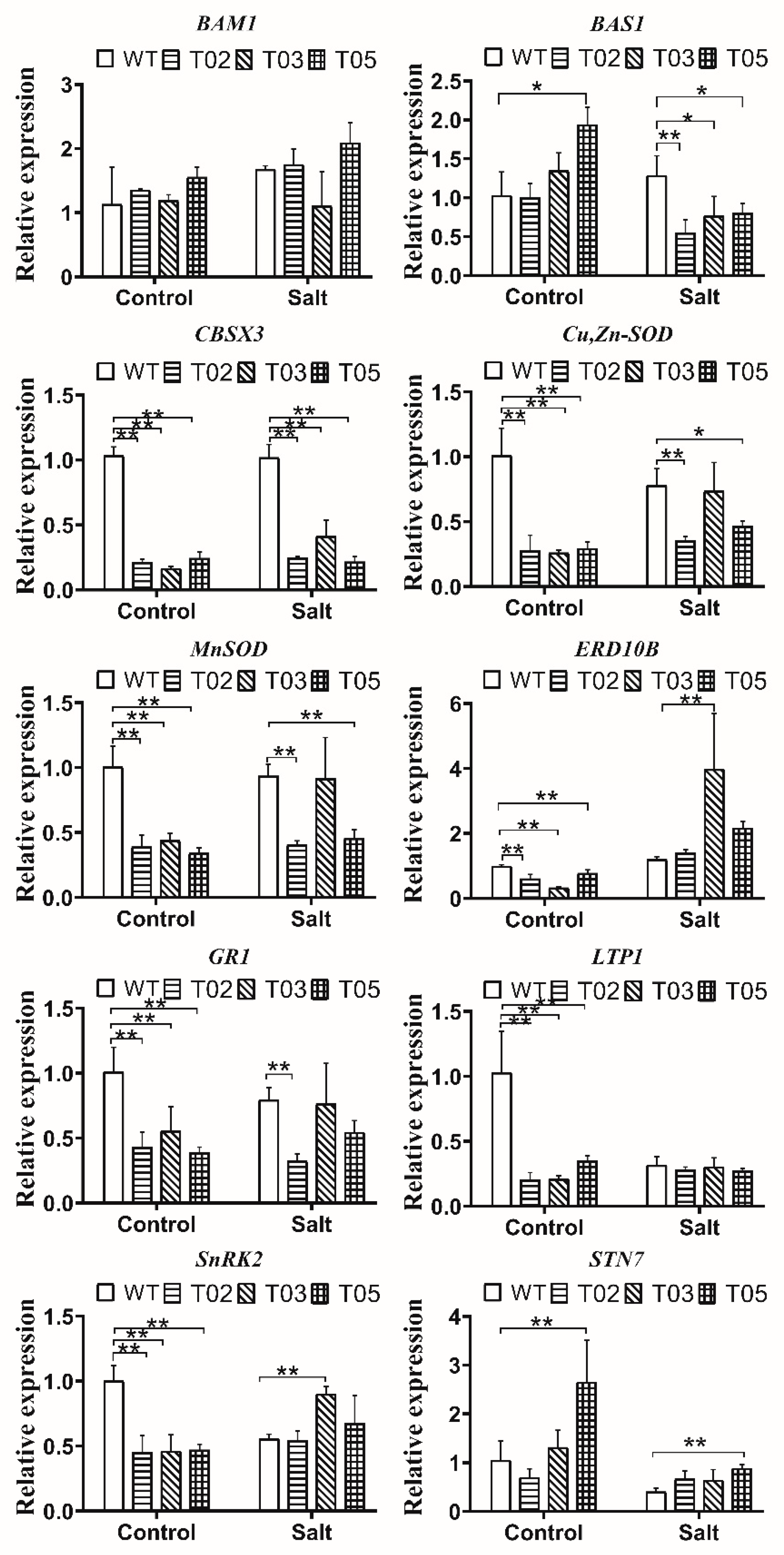 Agronomy 12 01467 g004