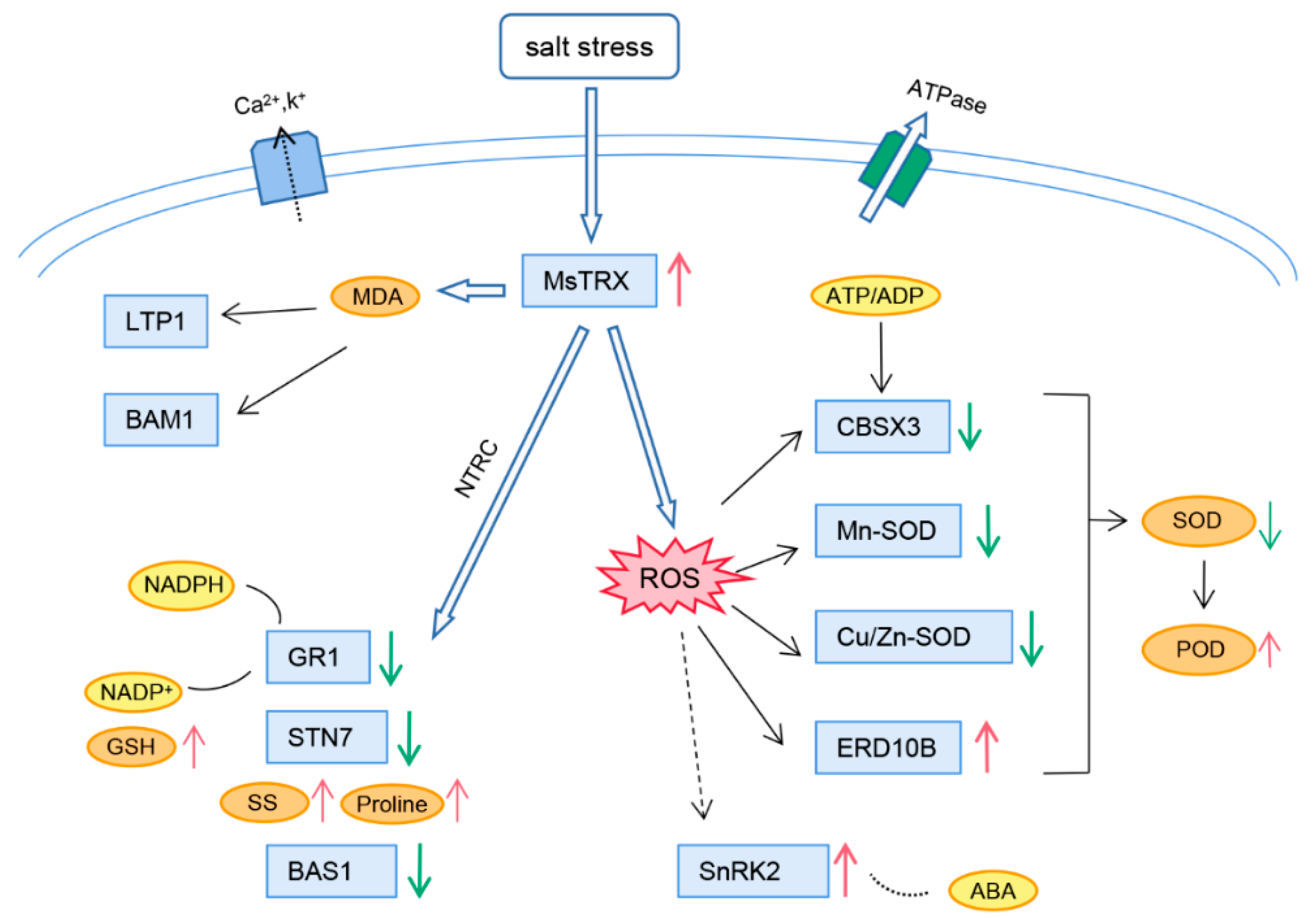 Agronomy 12 01467 g005
