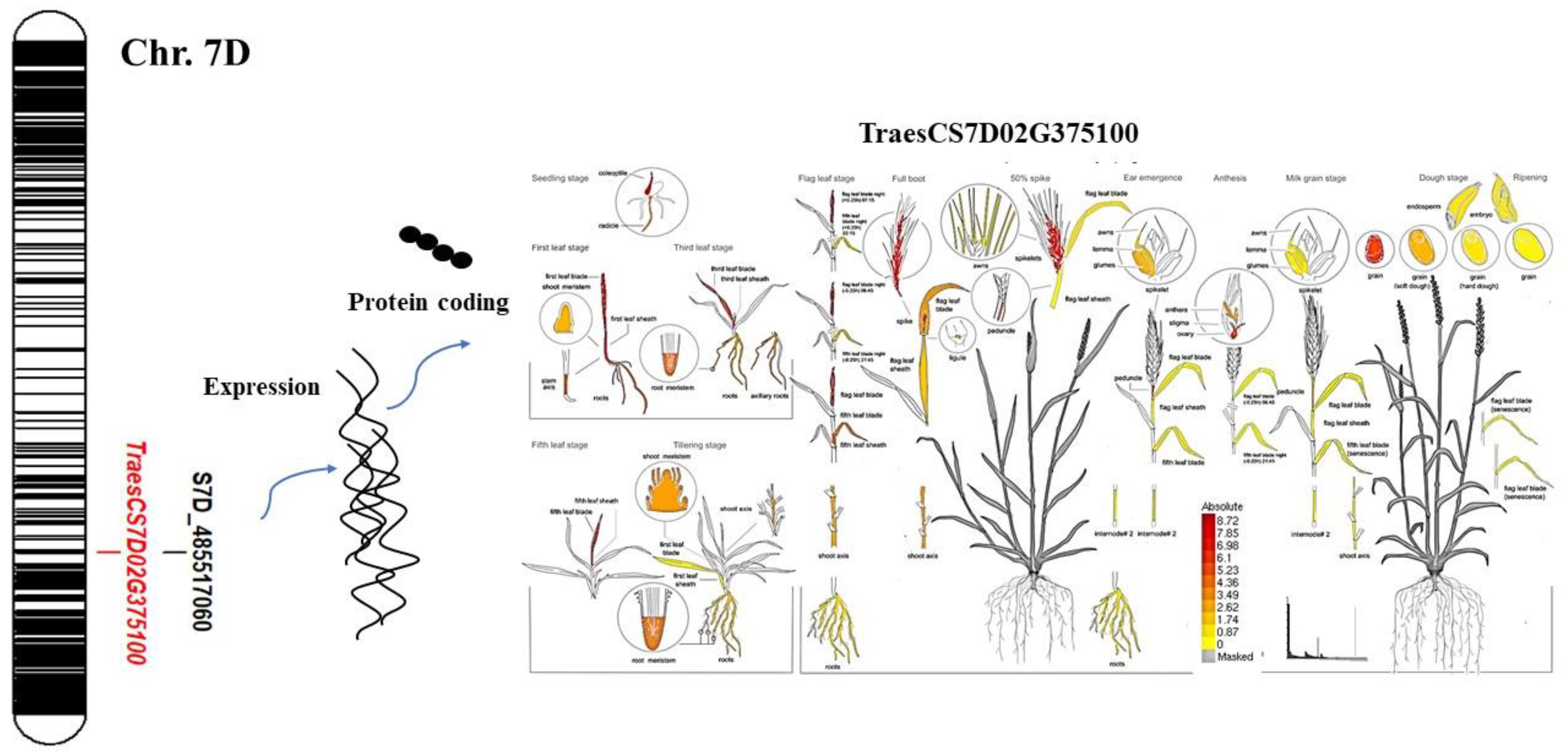 Agronomy 12 01469 g006