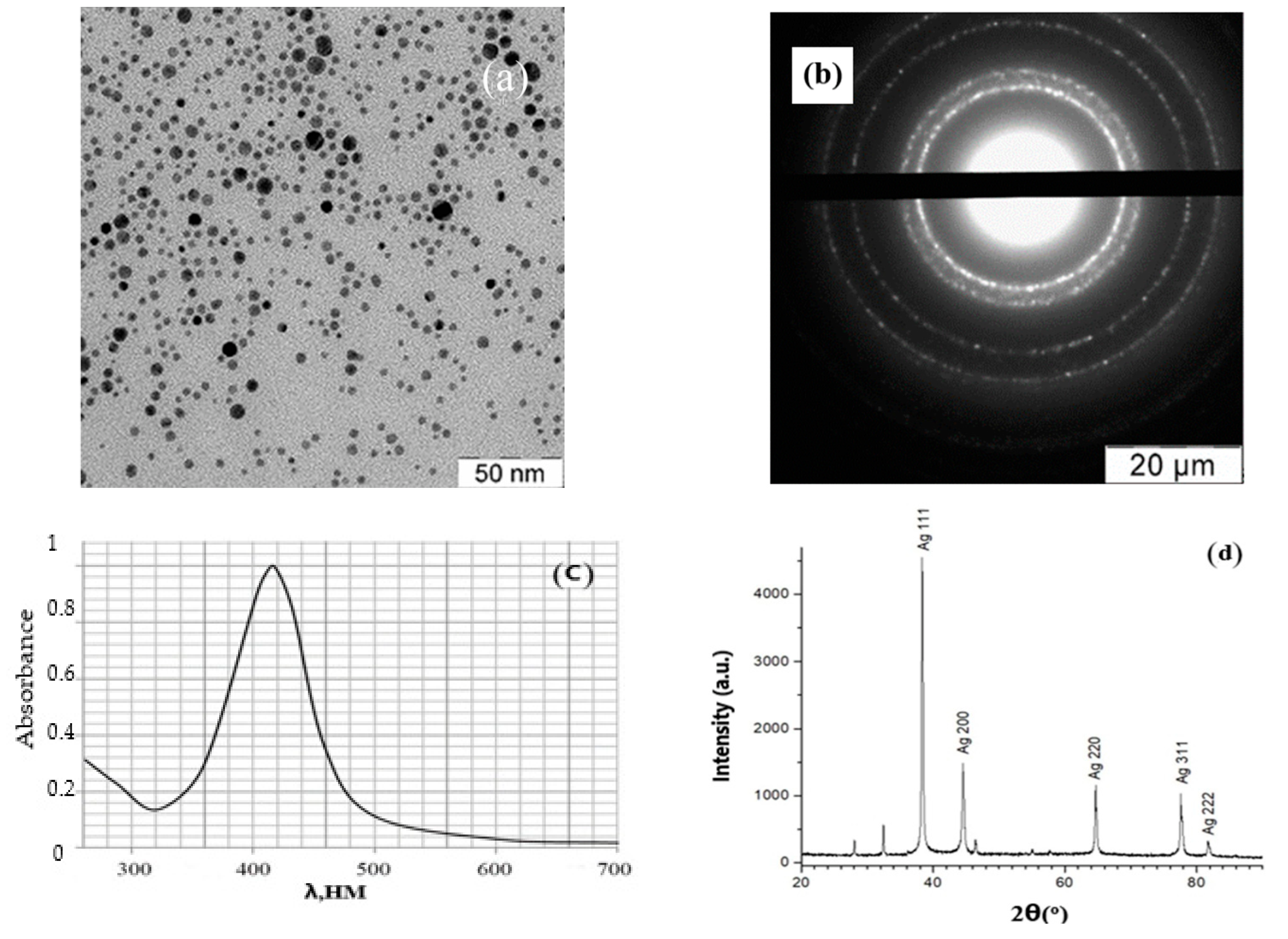 Agronomy 12 01473 g001