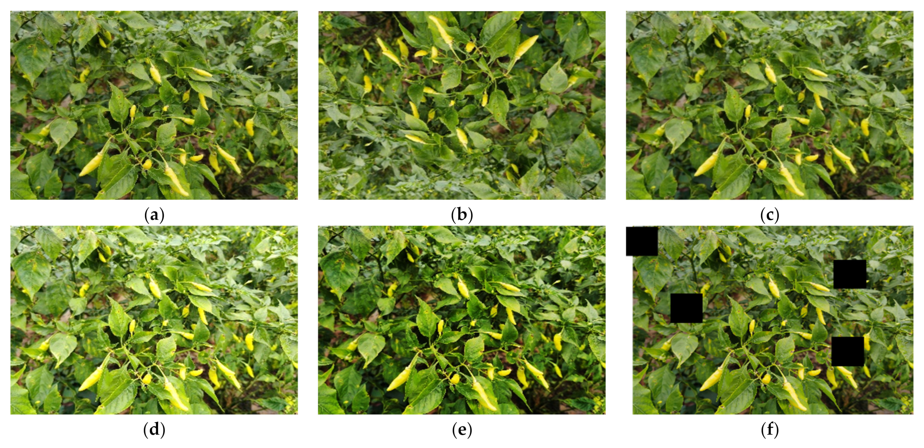 Agronomy 12 01477 g003