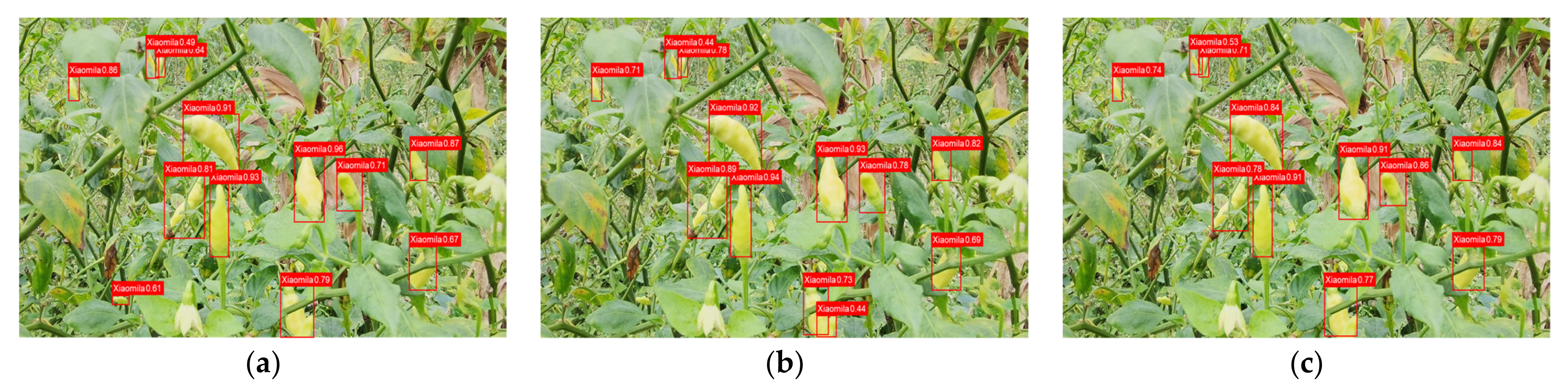 Agronomy 12 01477 g012