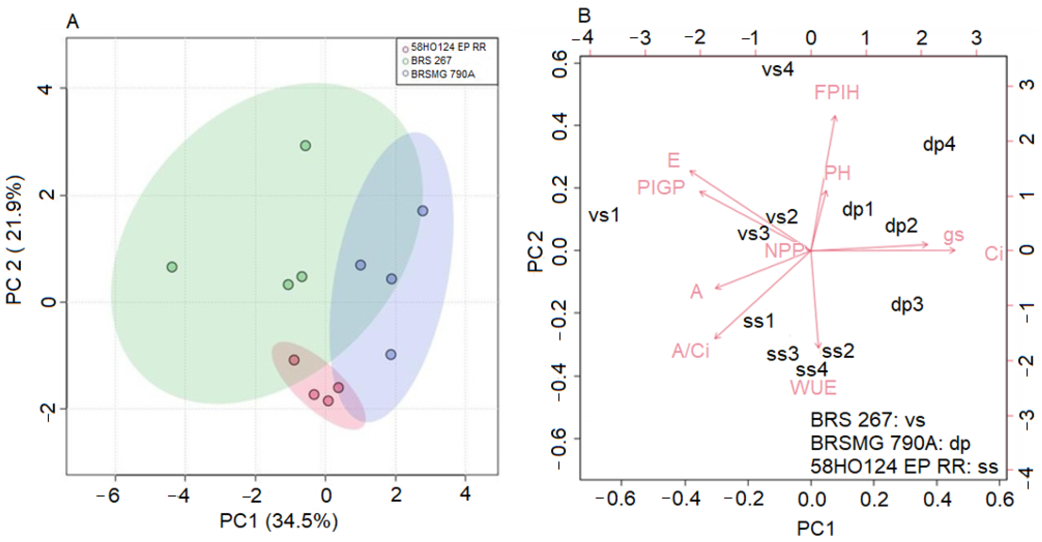 Agronomy 12 01478 g004 Agronomy 12 01478 g004