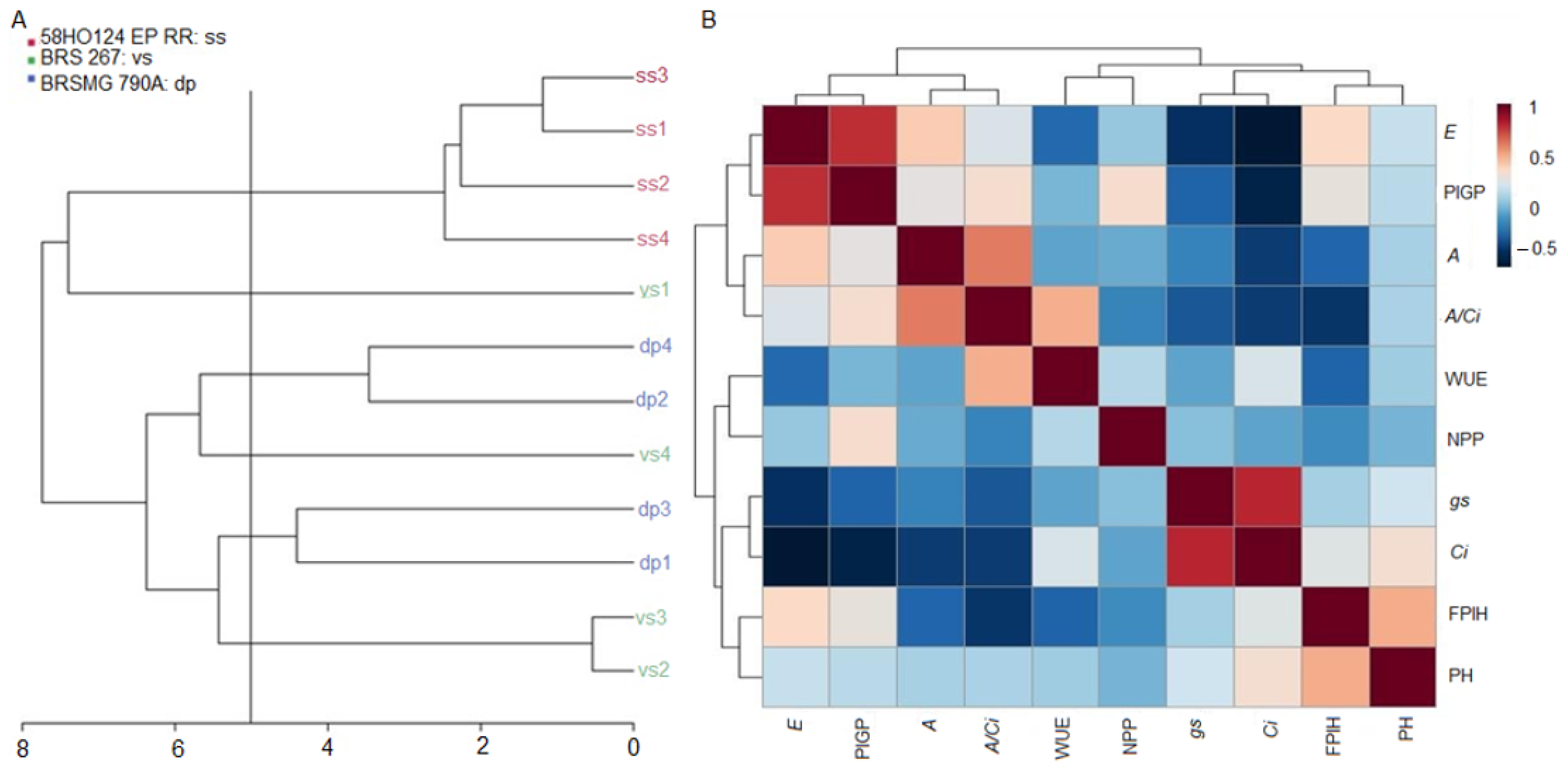 Agronomy 12 01478 g005 Agronomy 12 01478 g005