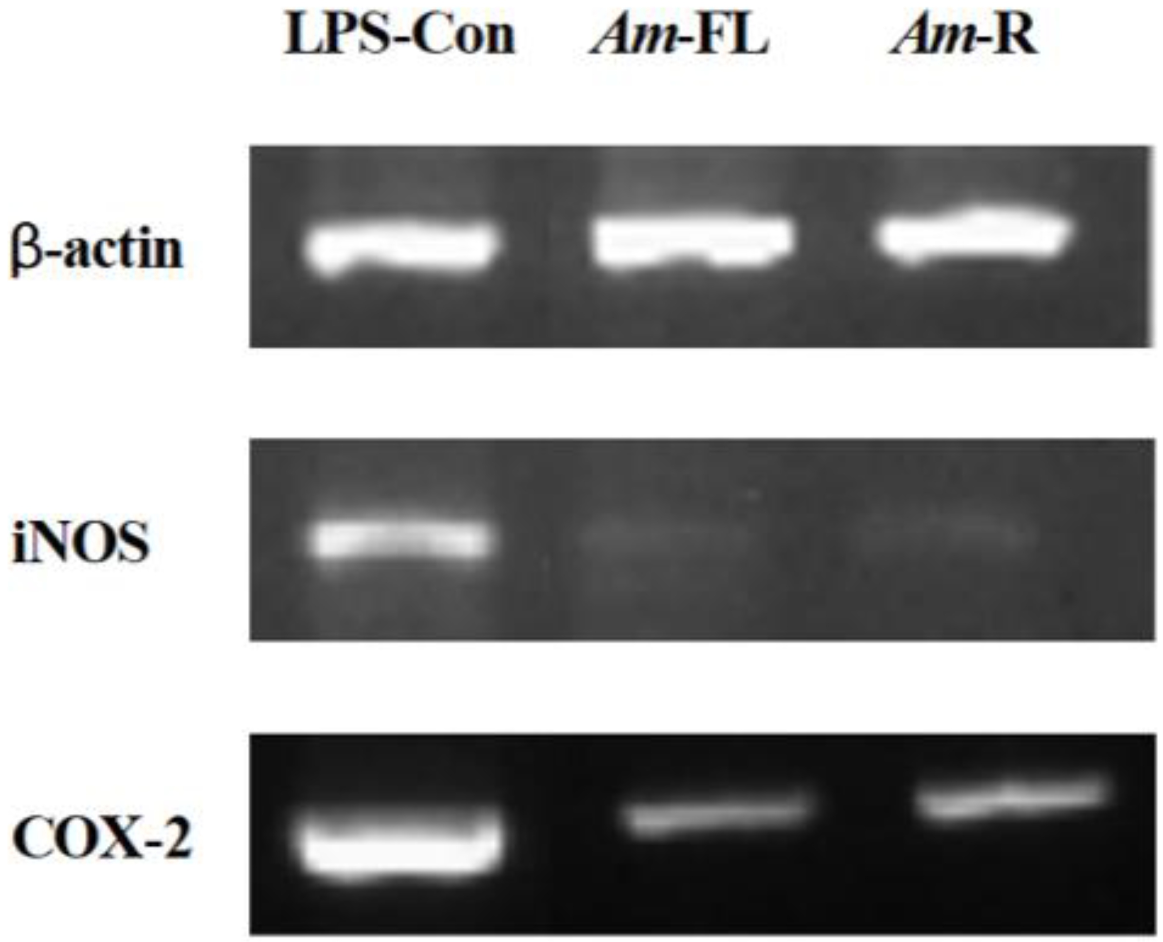 Agronomy 12 01485 g006