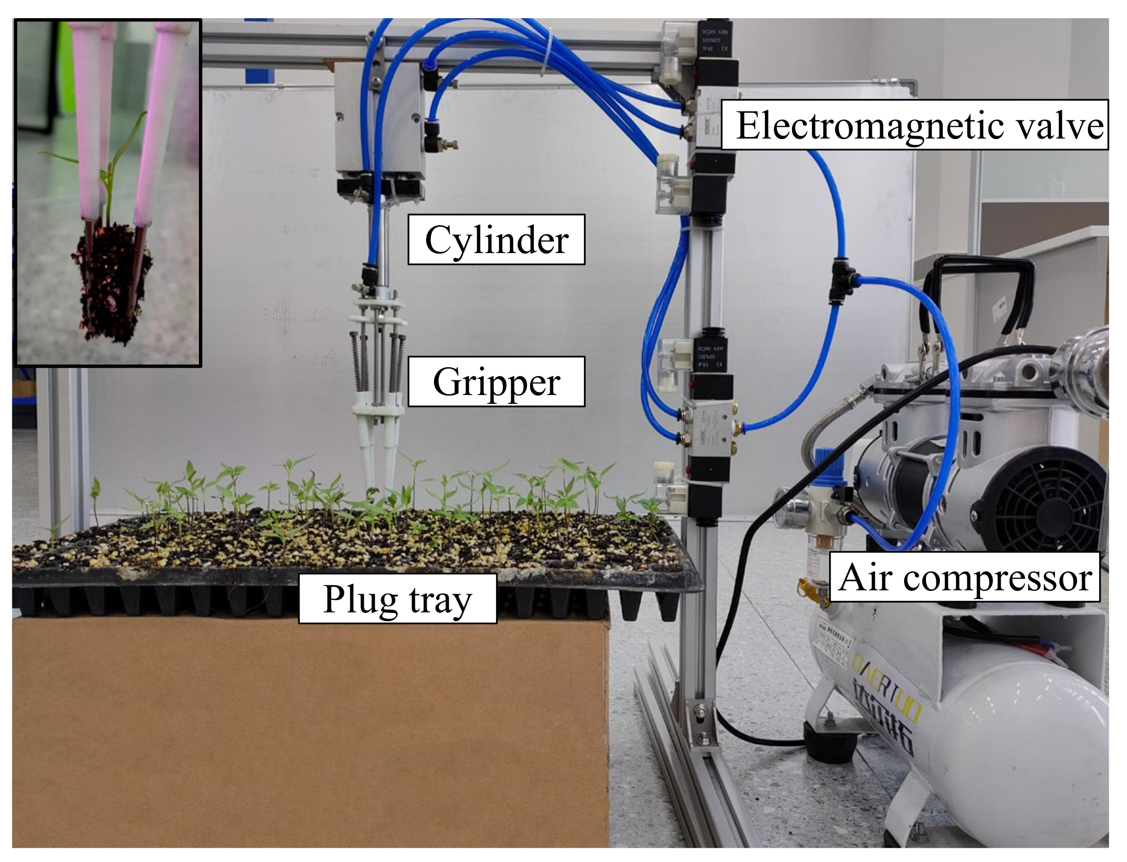 Agronomy 12 01487 g005 550