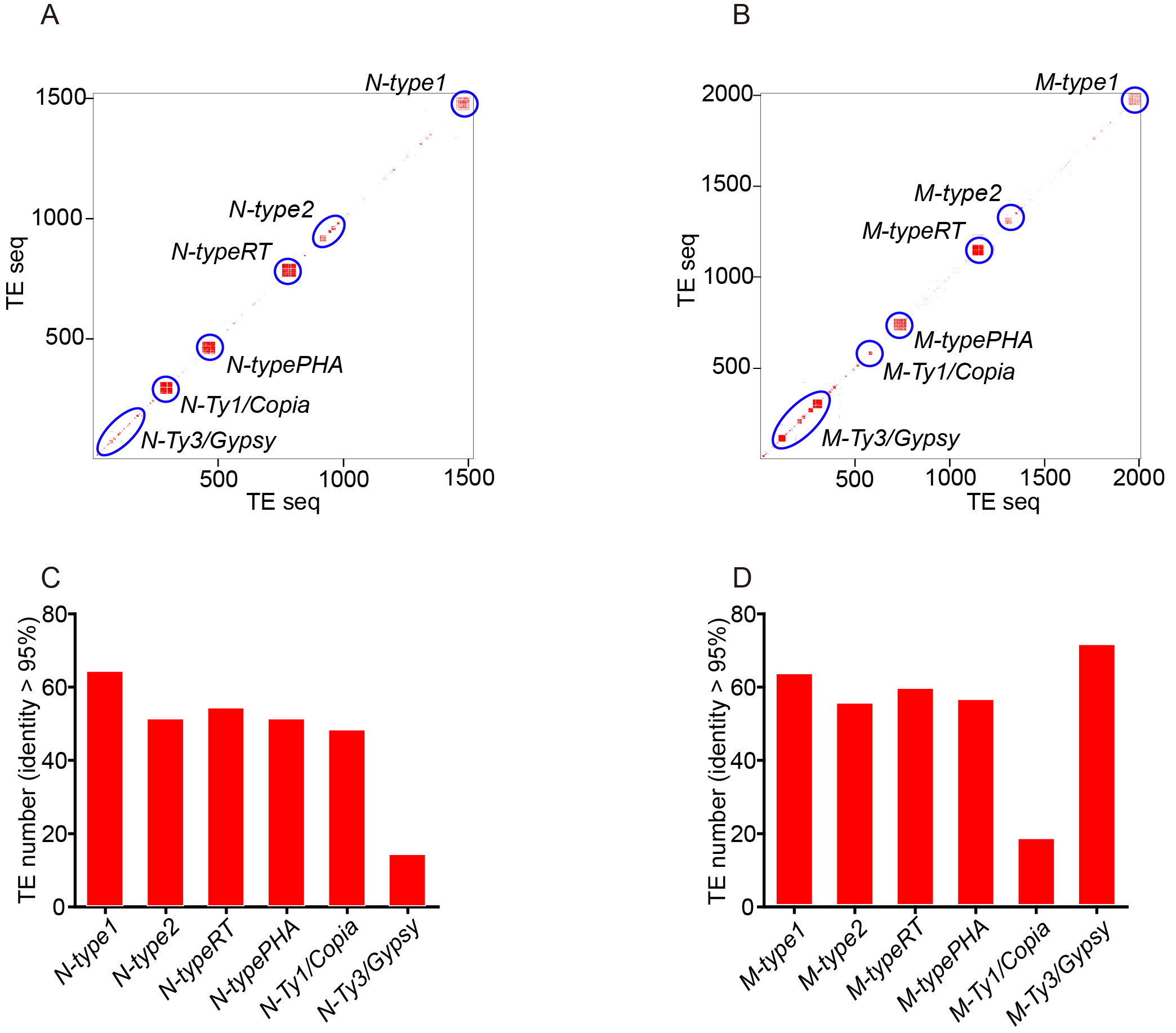 Agronomy 12 01490 g001
