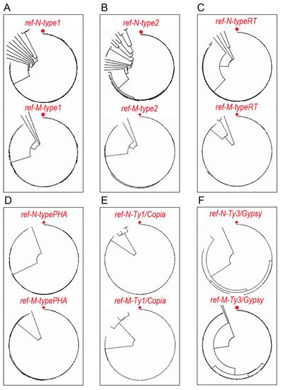 Genome-Wide Comparative Analysis of Transposable Elements by