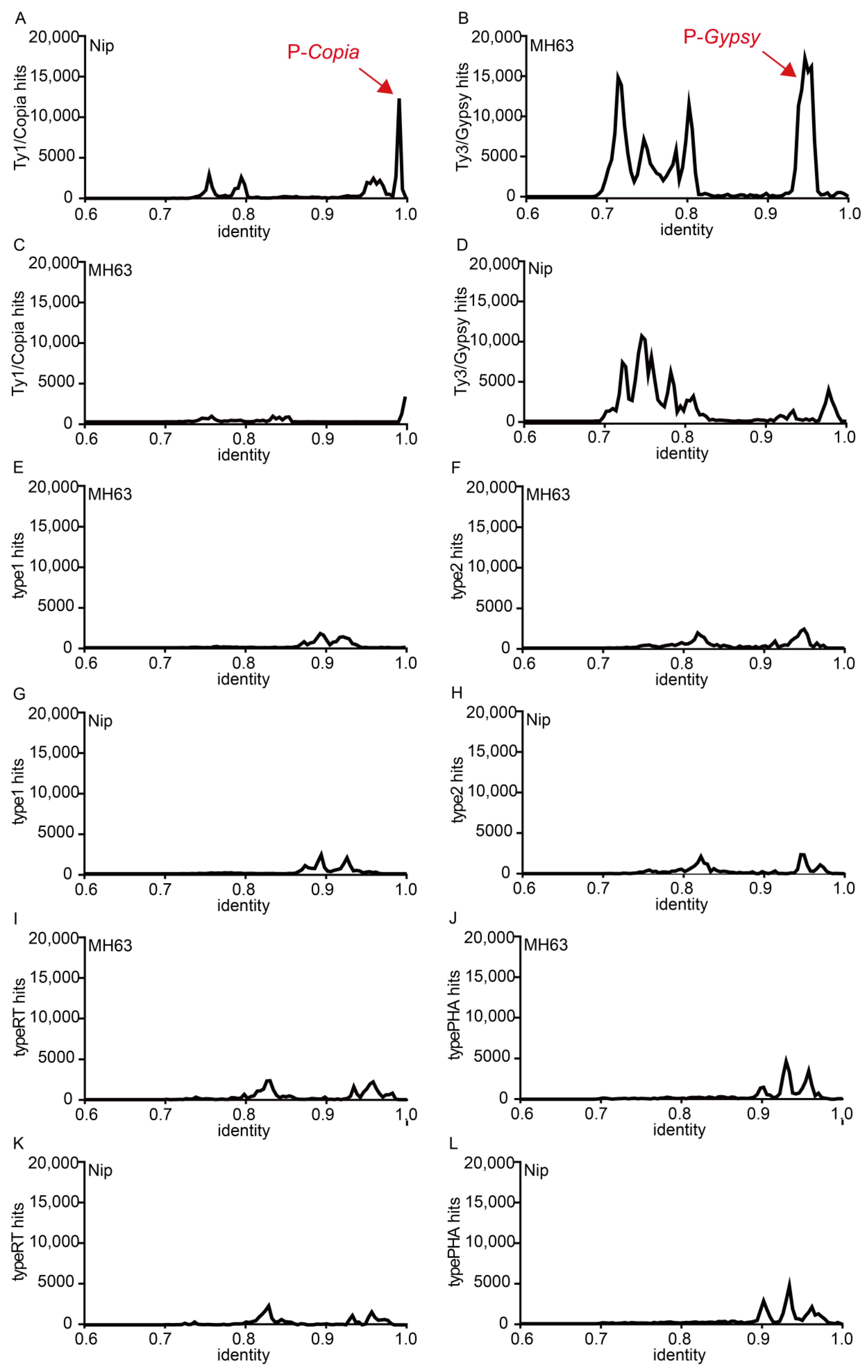 Agronomy 12 01490 g003