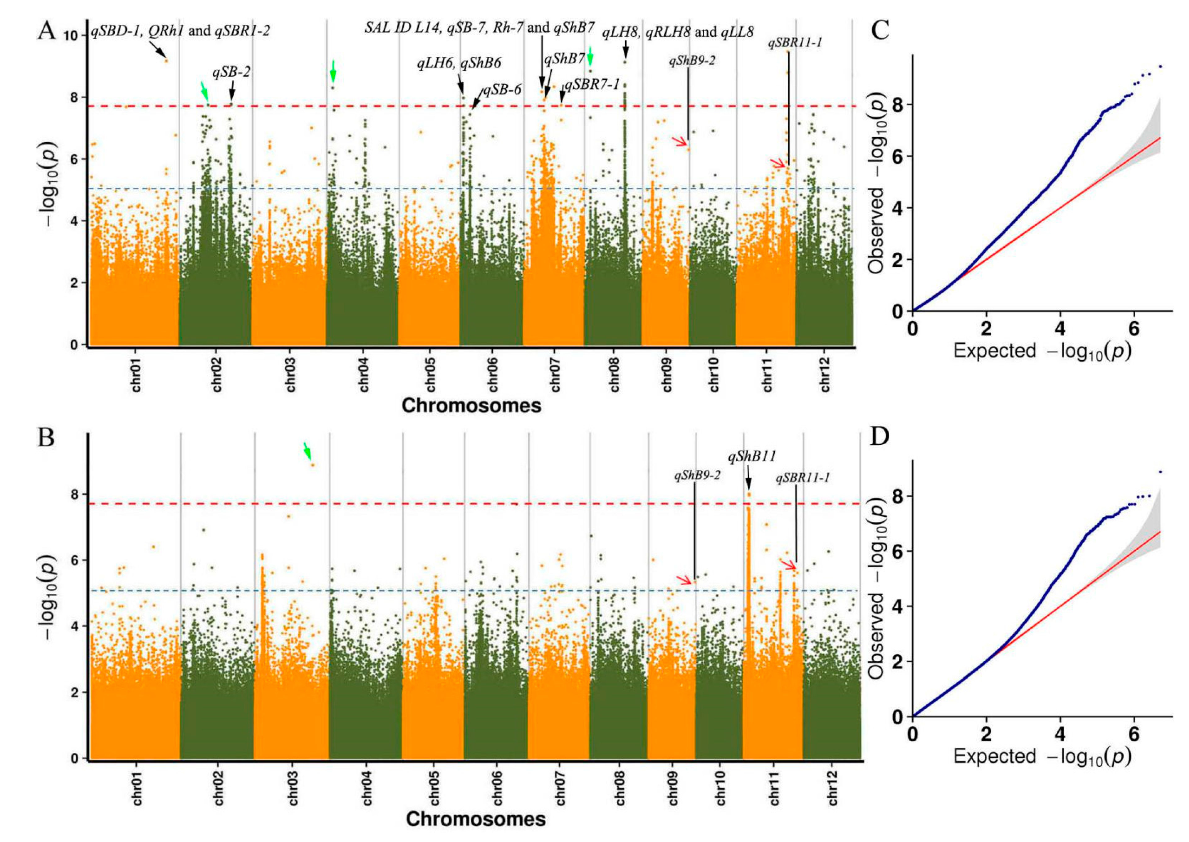 Agronomy 12 01493 g003