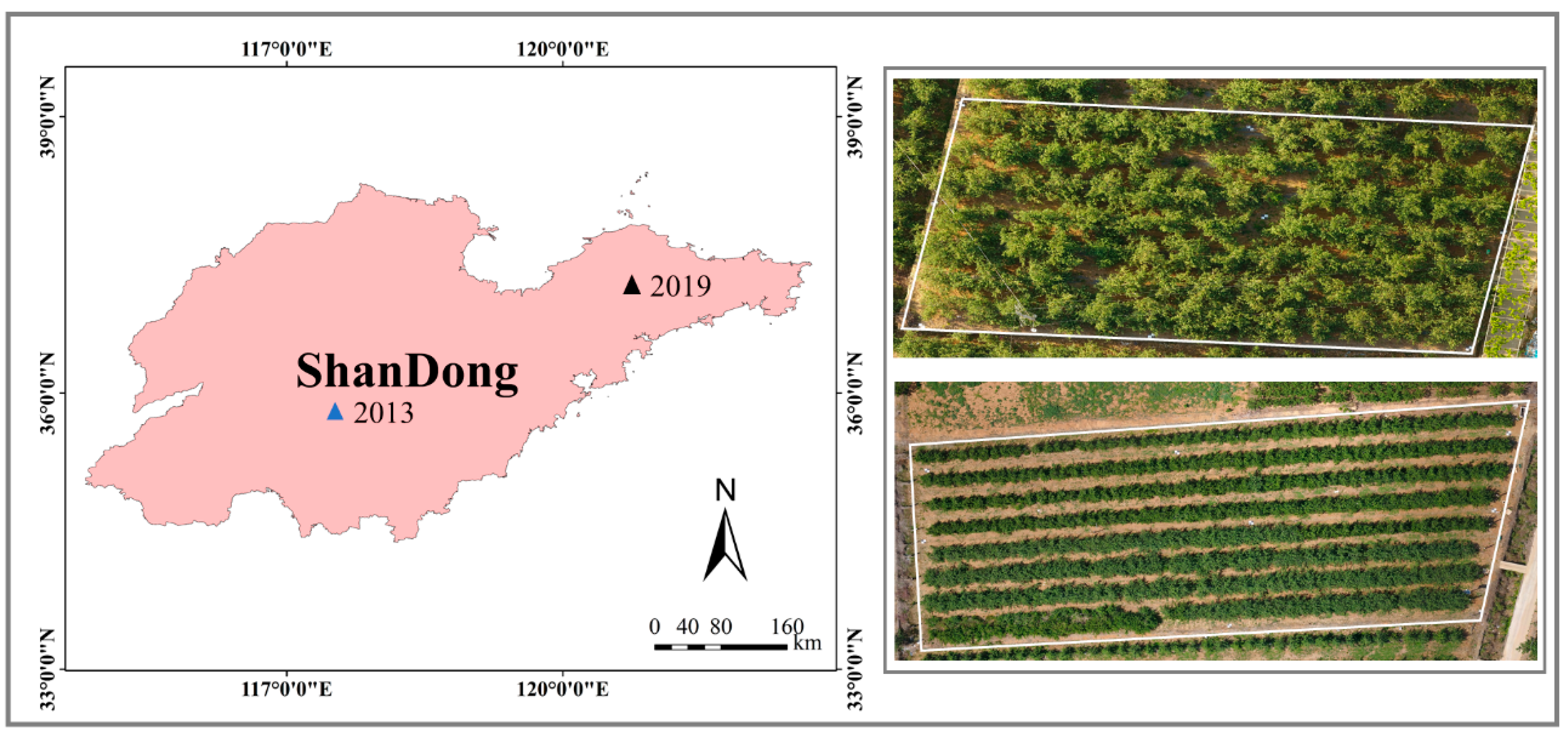 Agronomy 12 01497 g001 550