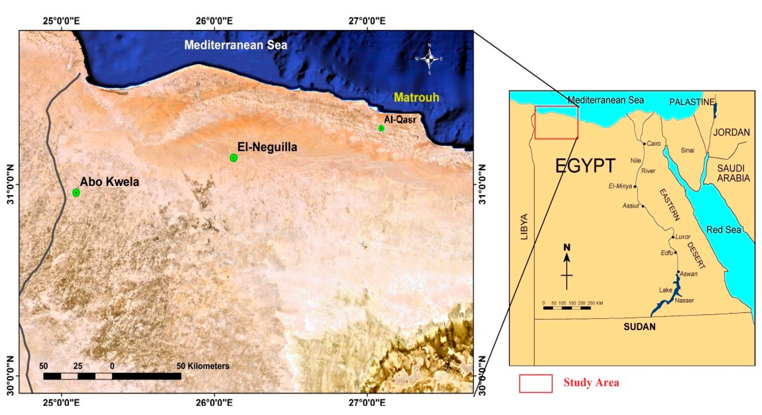 Agronomy 12 01499 g001