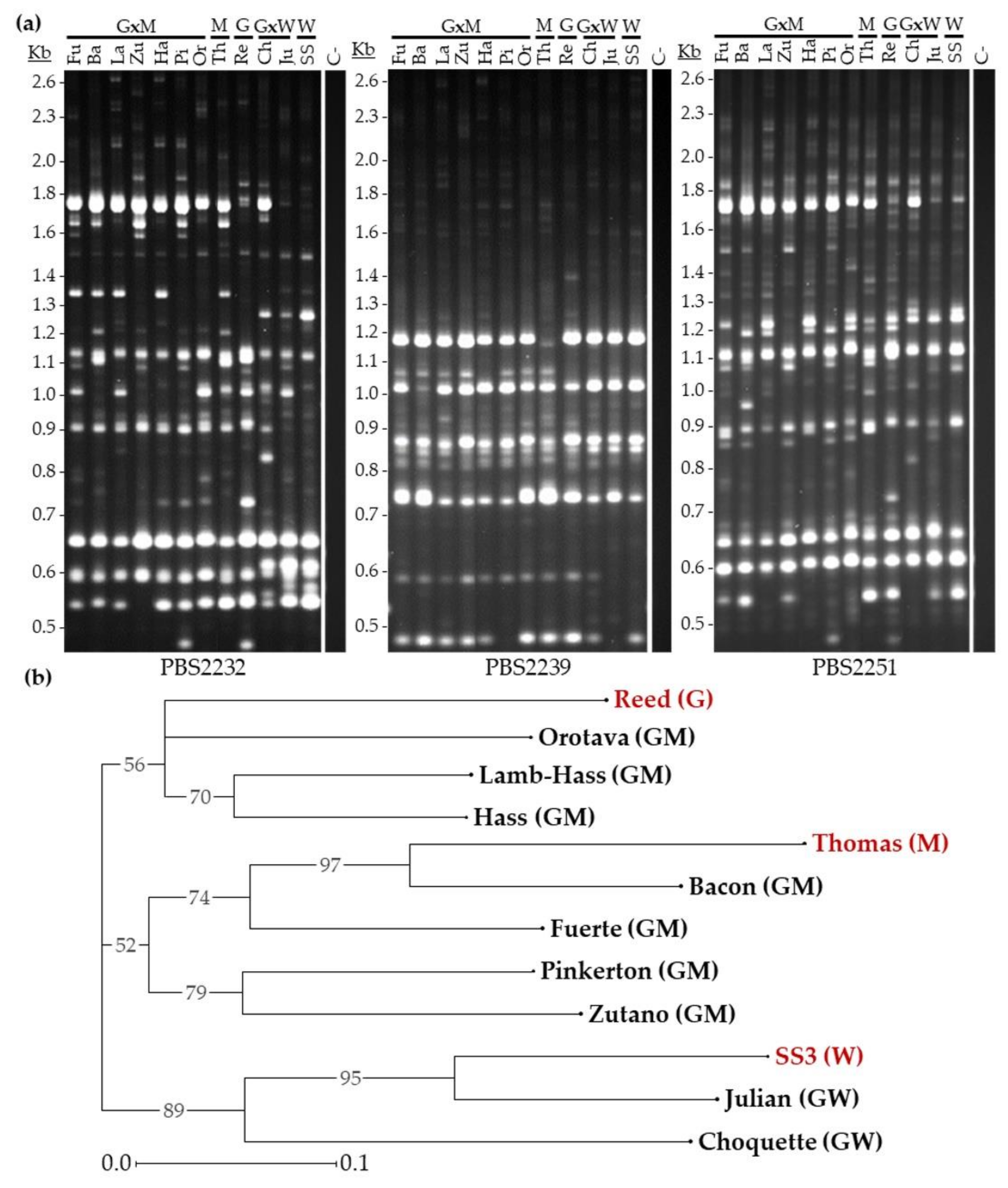 Agronomy 12 01510 g003 Agronomy 12 01510 g003