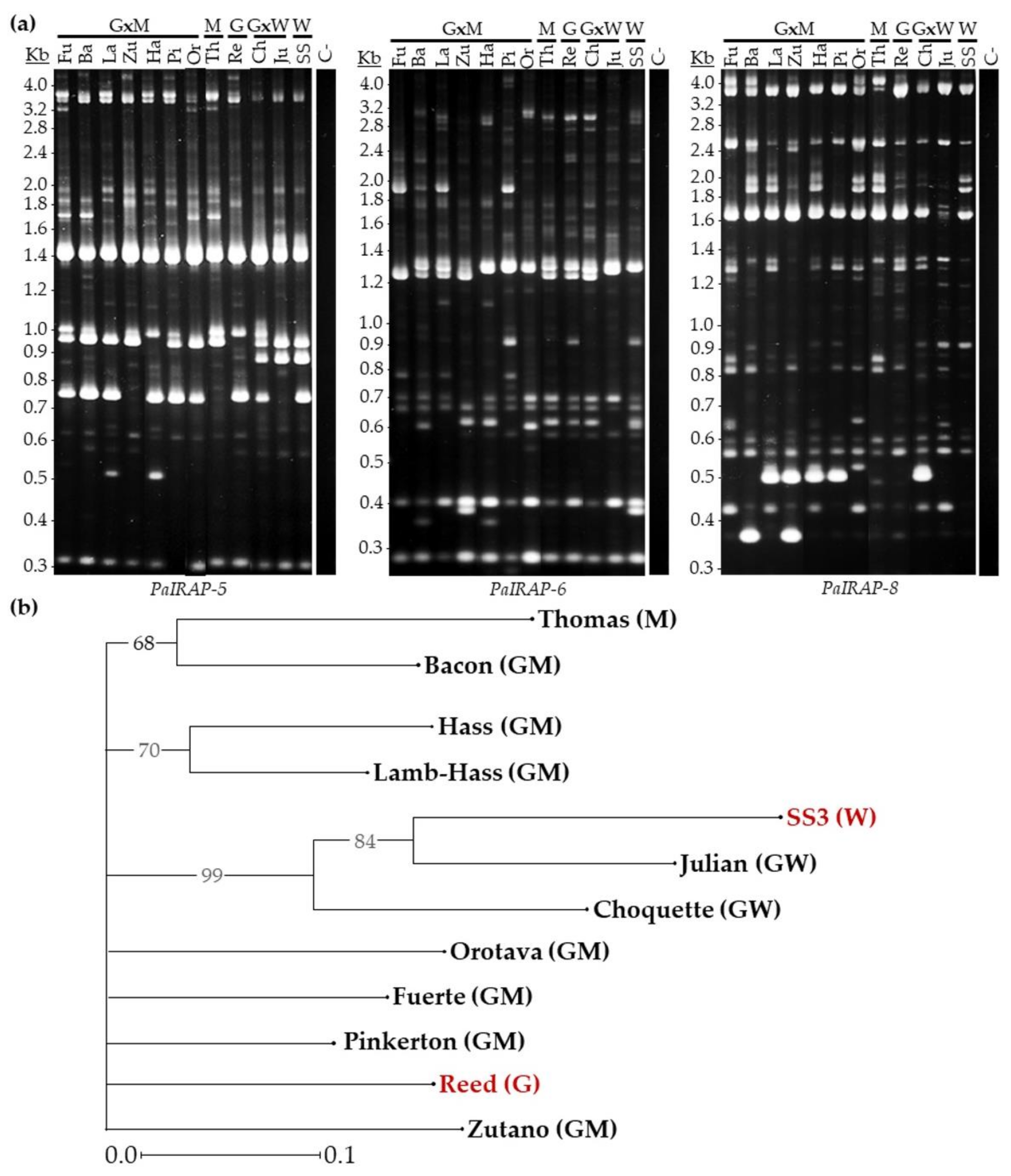 Agronomy 12 01510 g005 Agronomy 12 01510 g005
