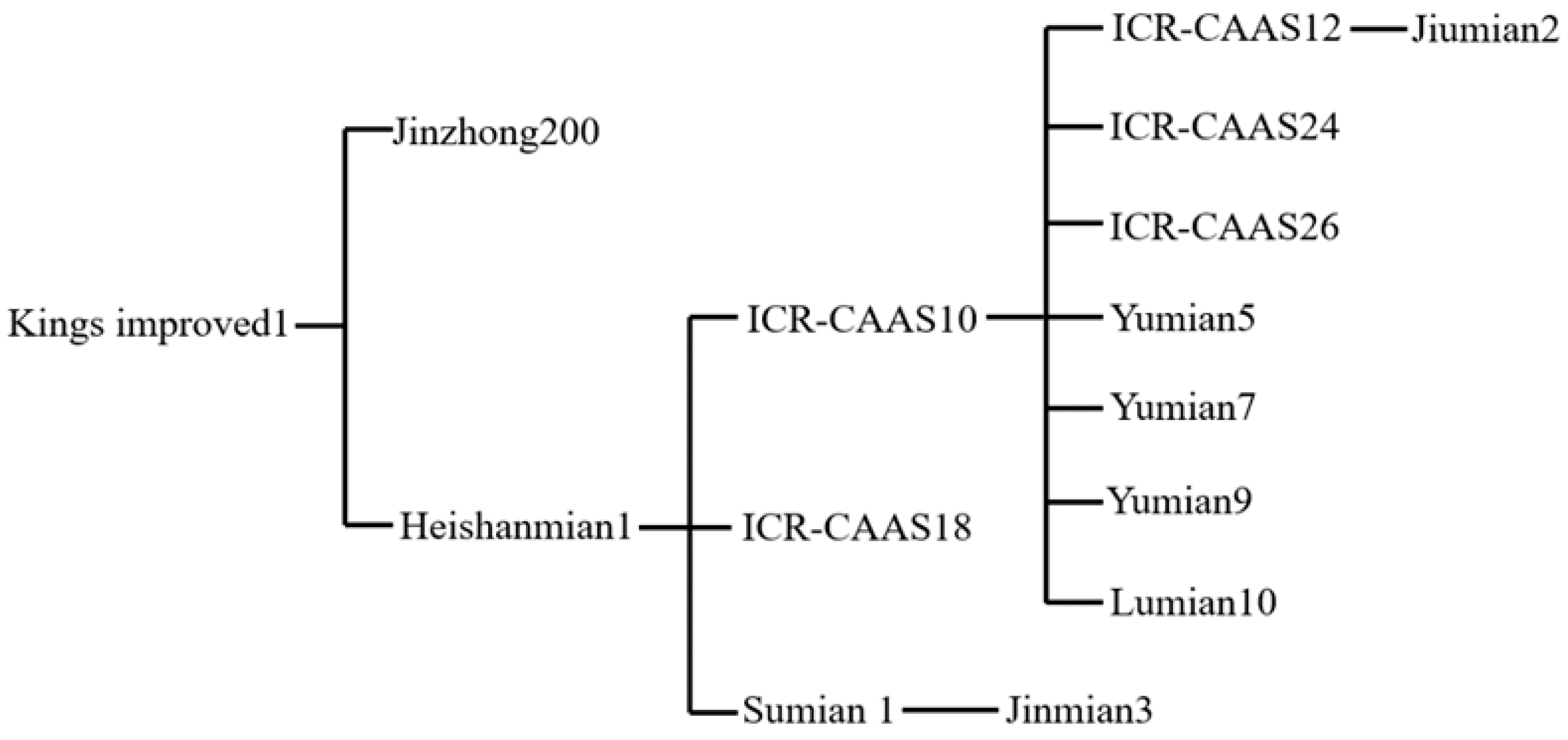 Use of SSR Markers for the Exploration of Genetic Diversity and DNA Finger-Printing in Early-Maturing Upland Cotton (Gossypium... 