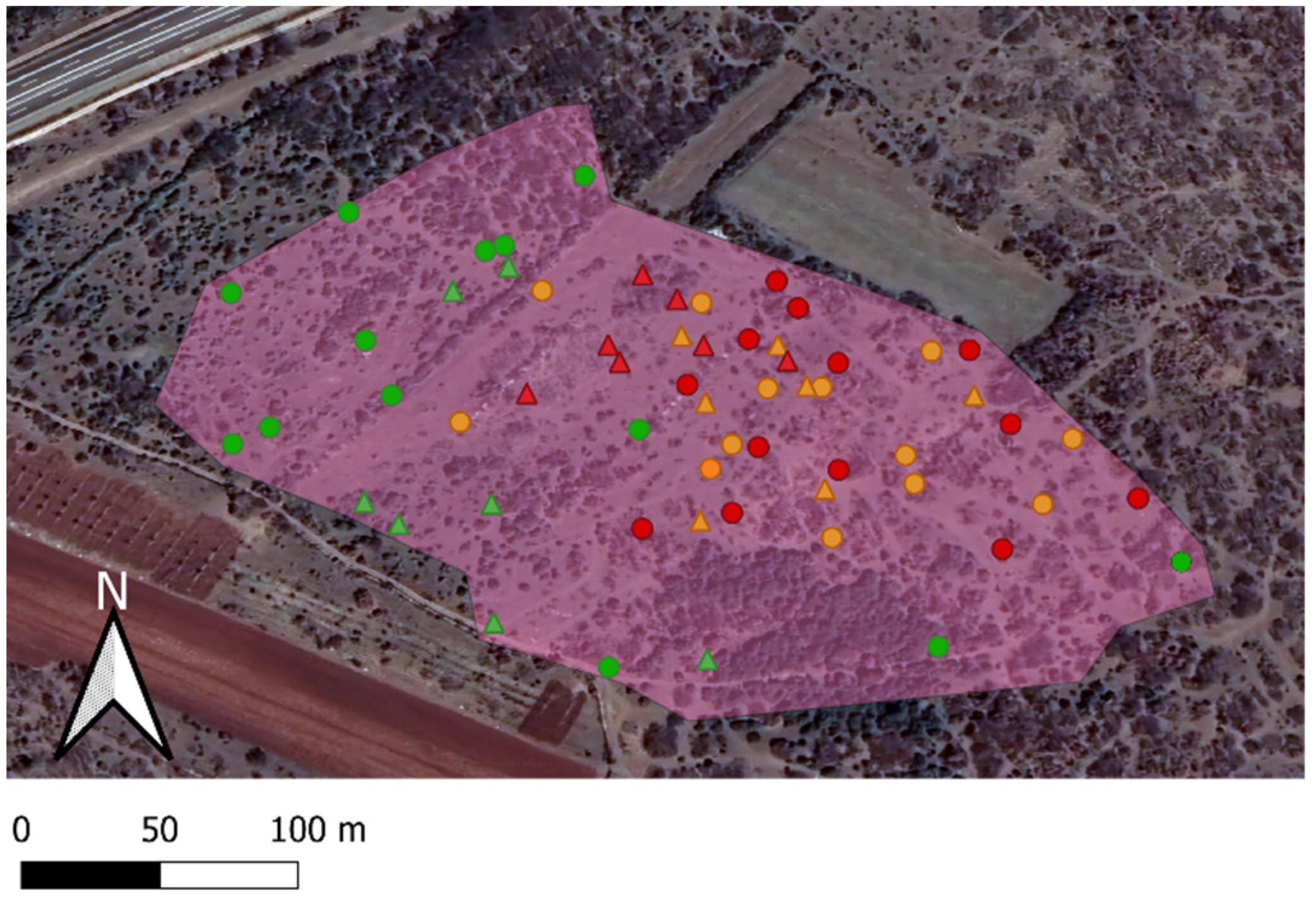 Agronomy 12 01515 g001