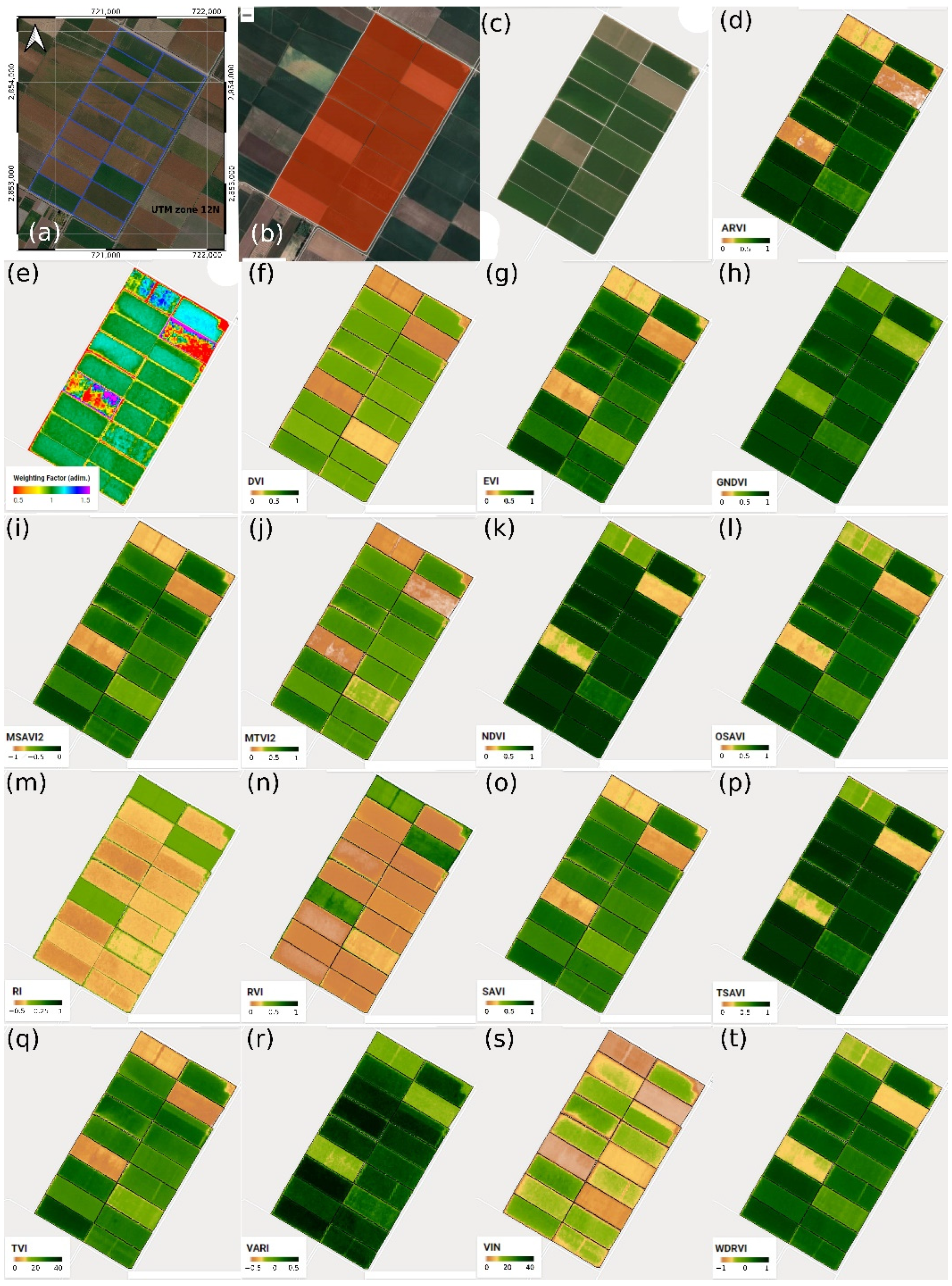 Agronomy 12 01518 g005 550