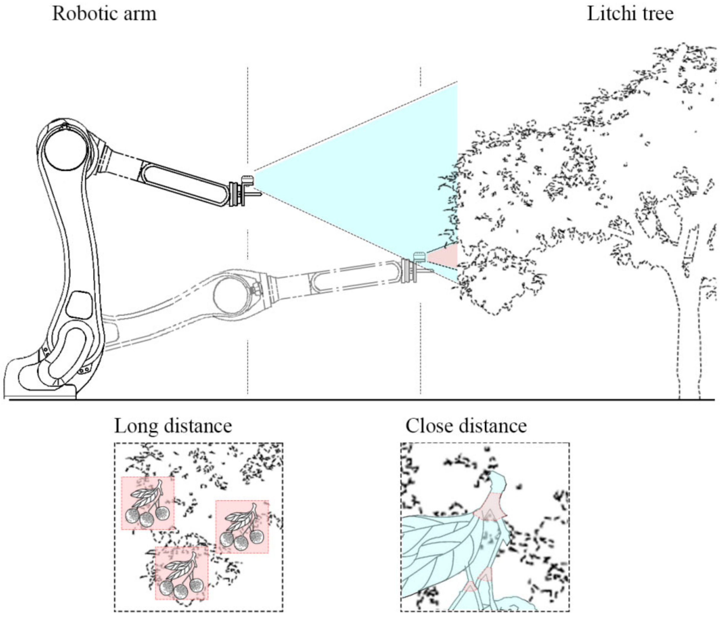 Agronomy 12 01520 g004 550