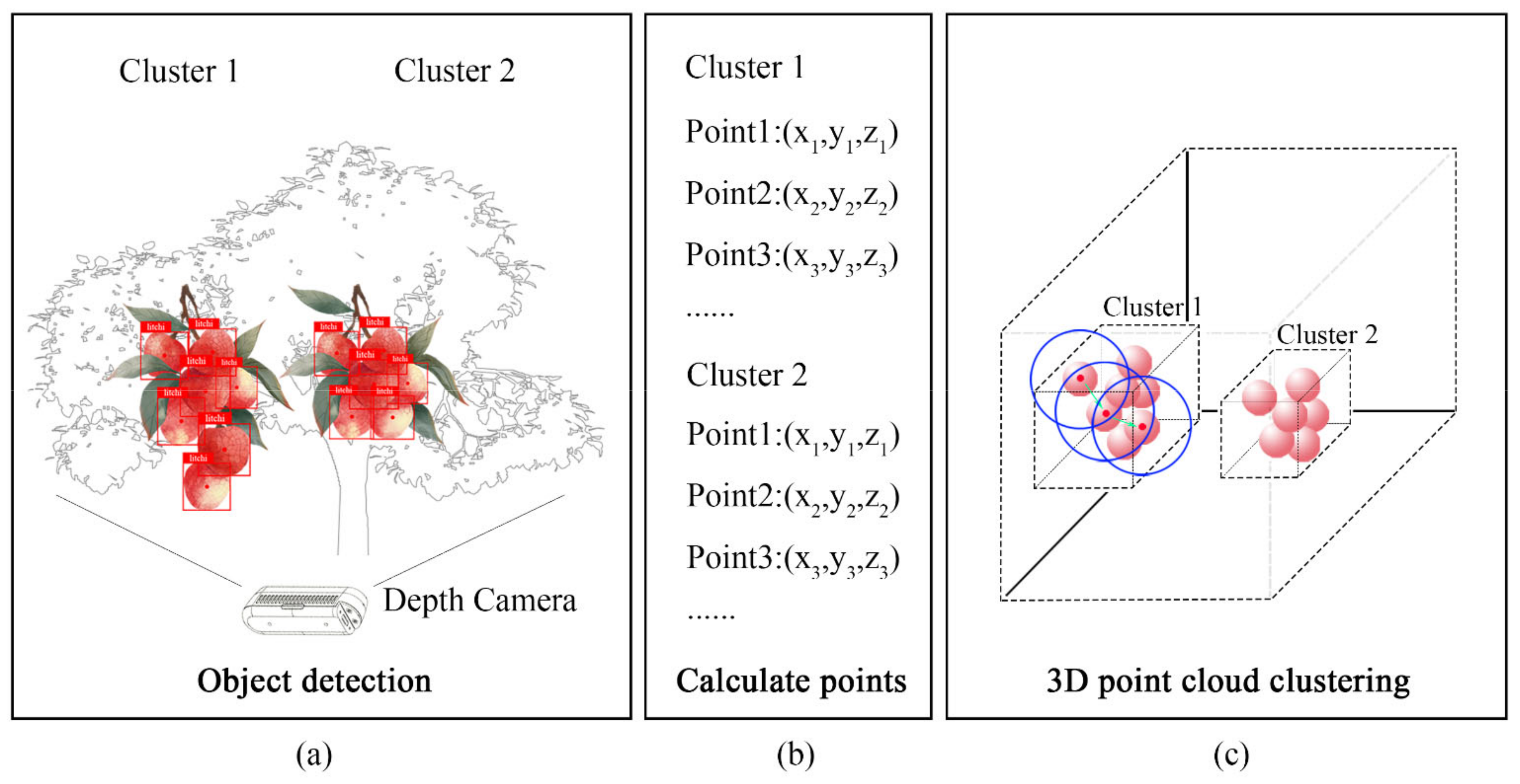 Agronomy 12 01520 g005 550