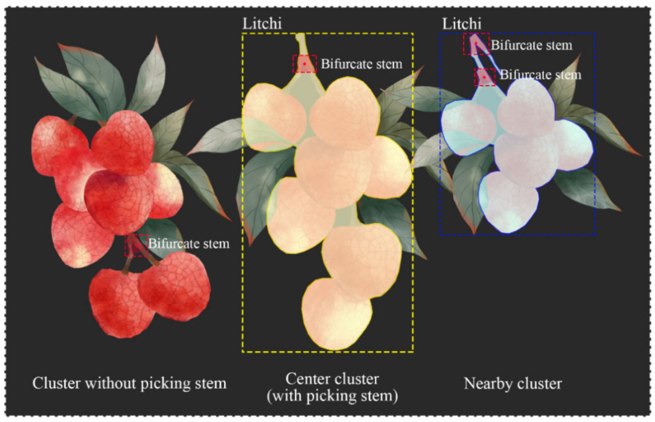 Agronomy 12 01520 g007 550