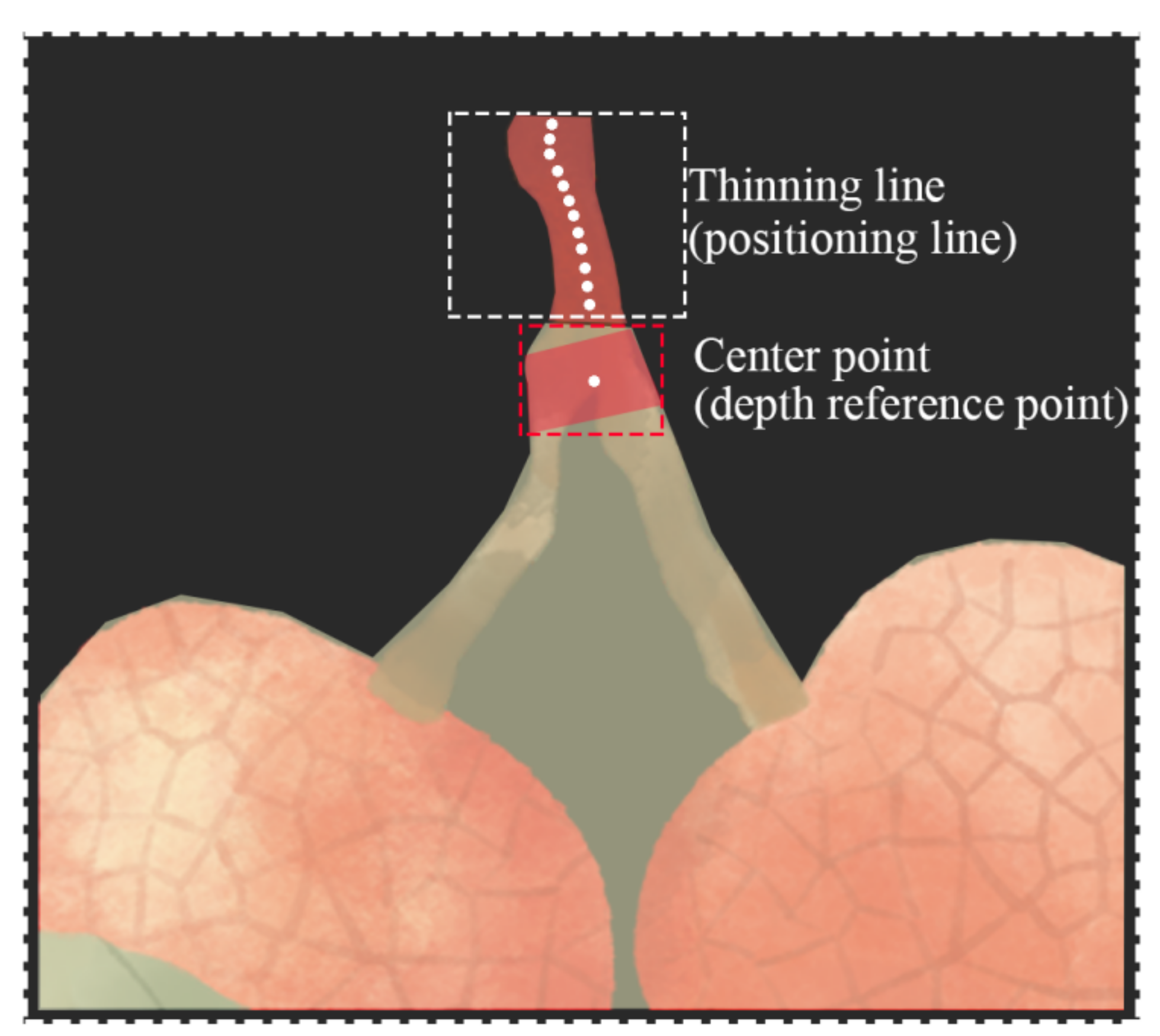 Agronomy 12 01520 g009 550