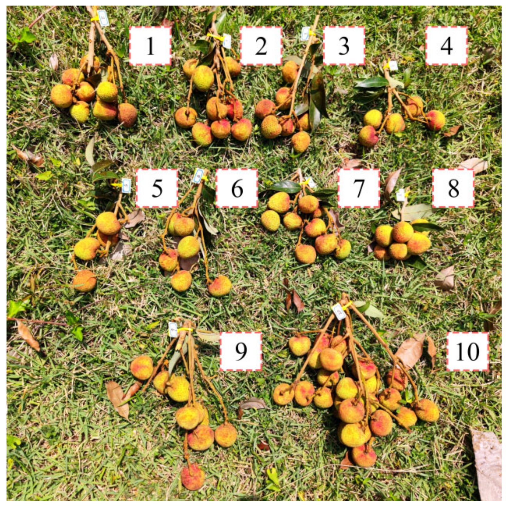 Agronomy 12 01520 g012 550