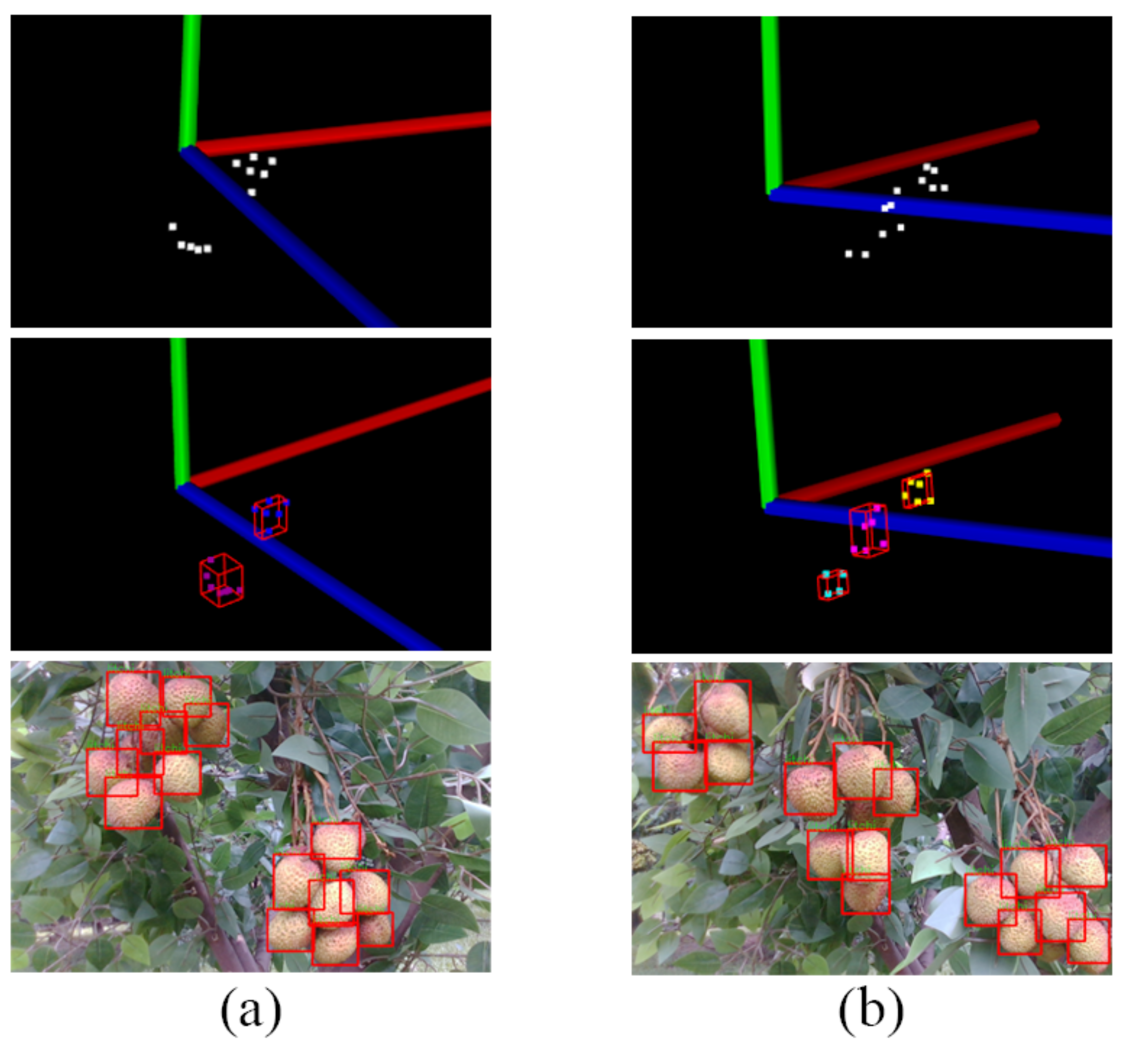 Agronomy 12 01520 g013 550