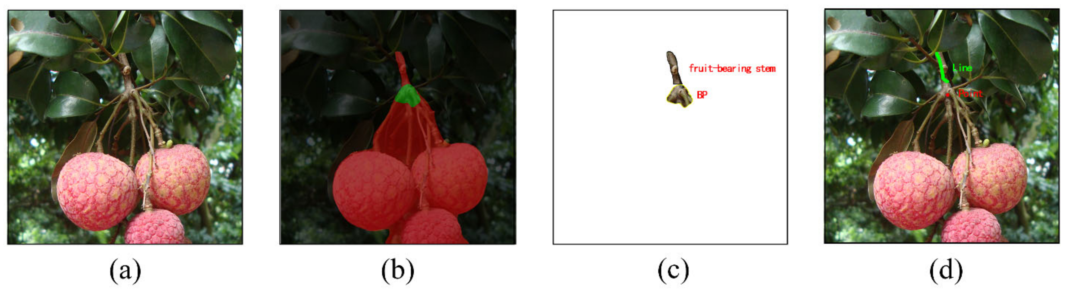 Agronomy 12 01520 g017 550