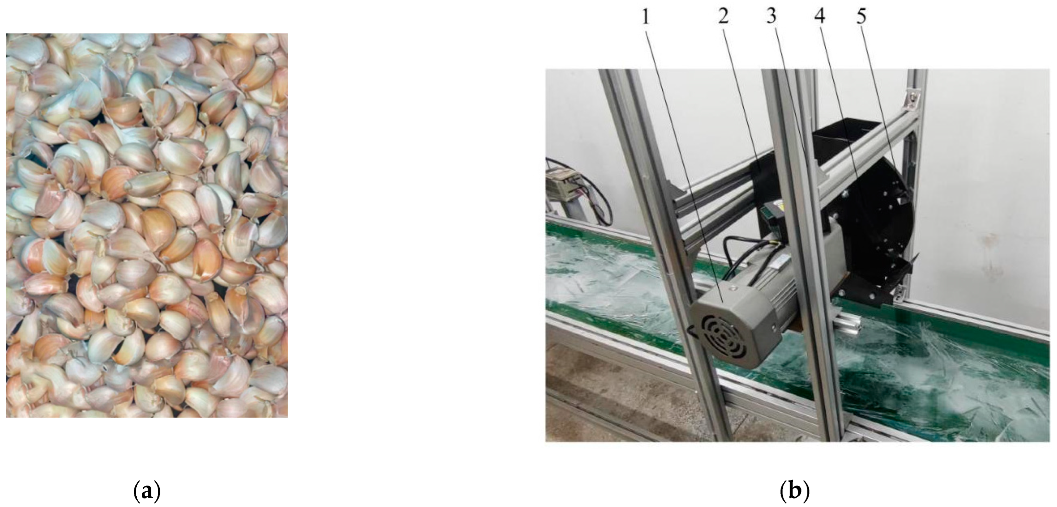 Agronomy 12 01543 g007