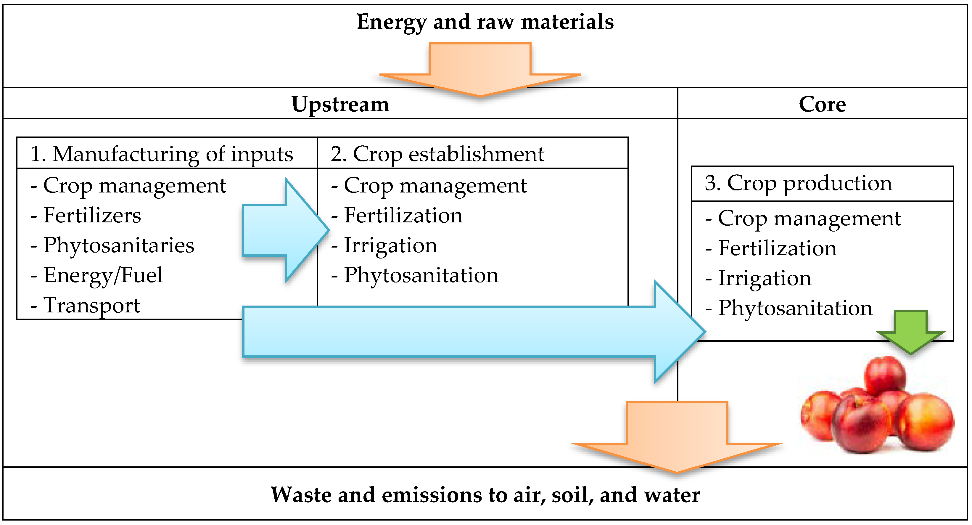 Agronomy 12 01545 g001