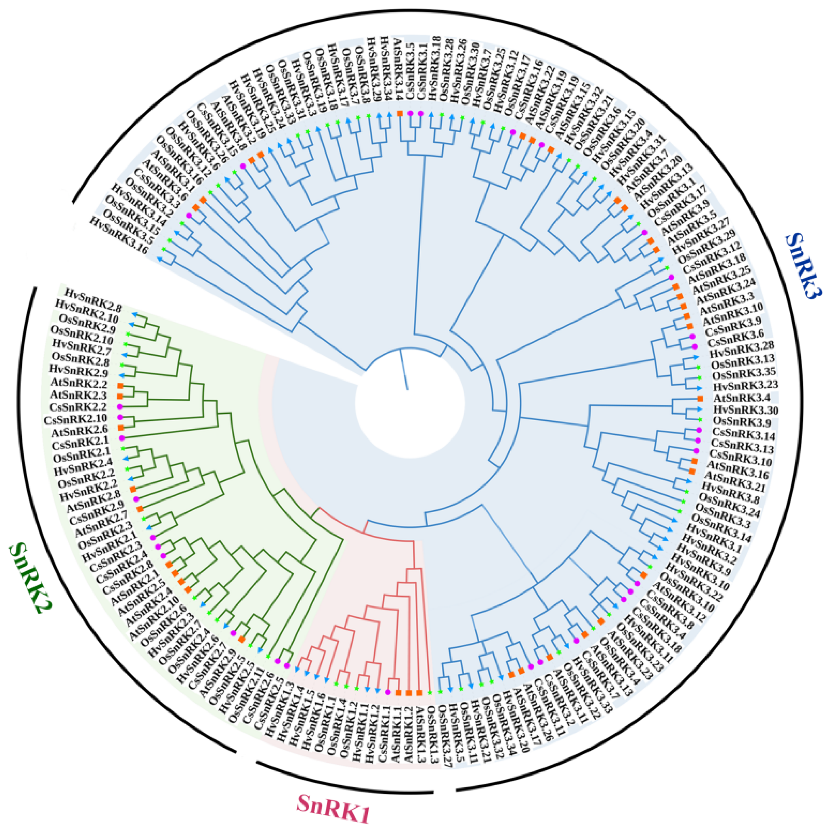 Agronomy 12 01550 g001