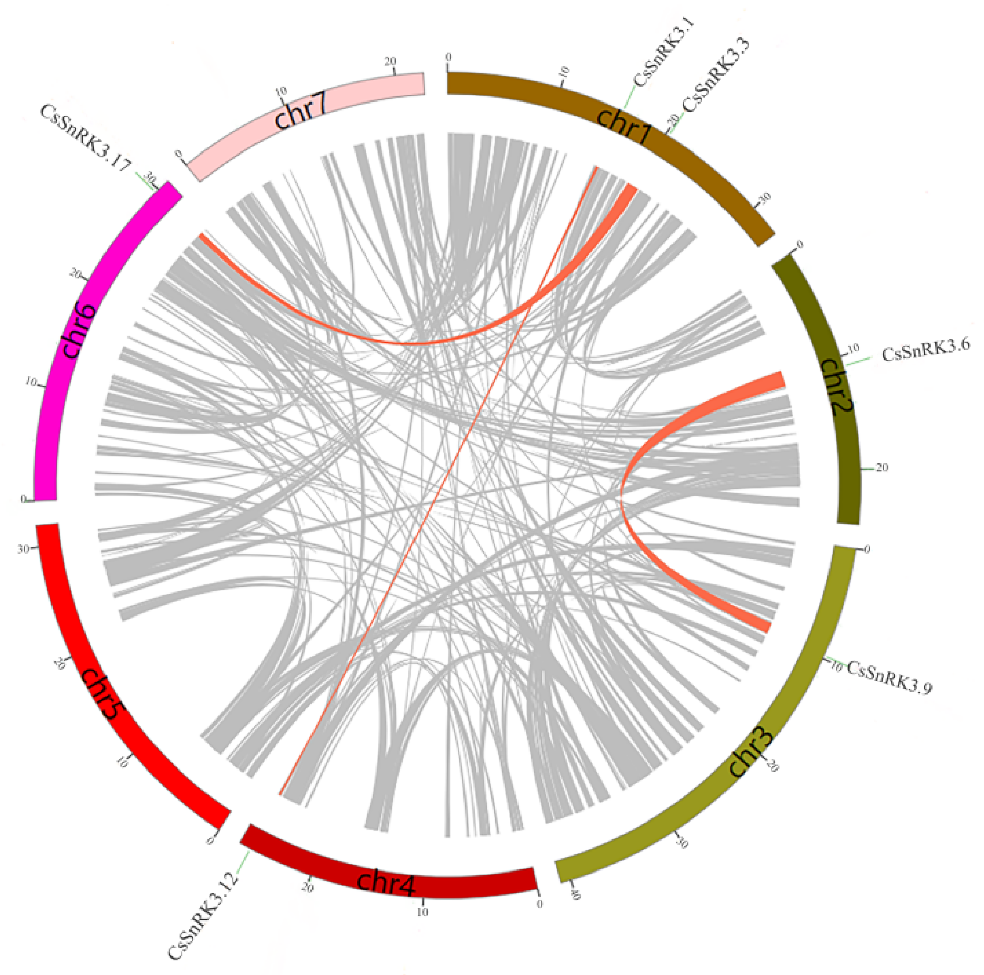 Agronomy 12 01550 g004