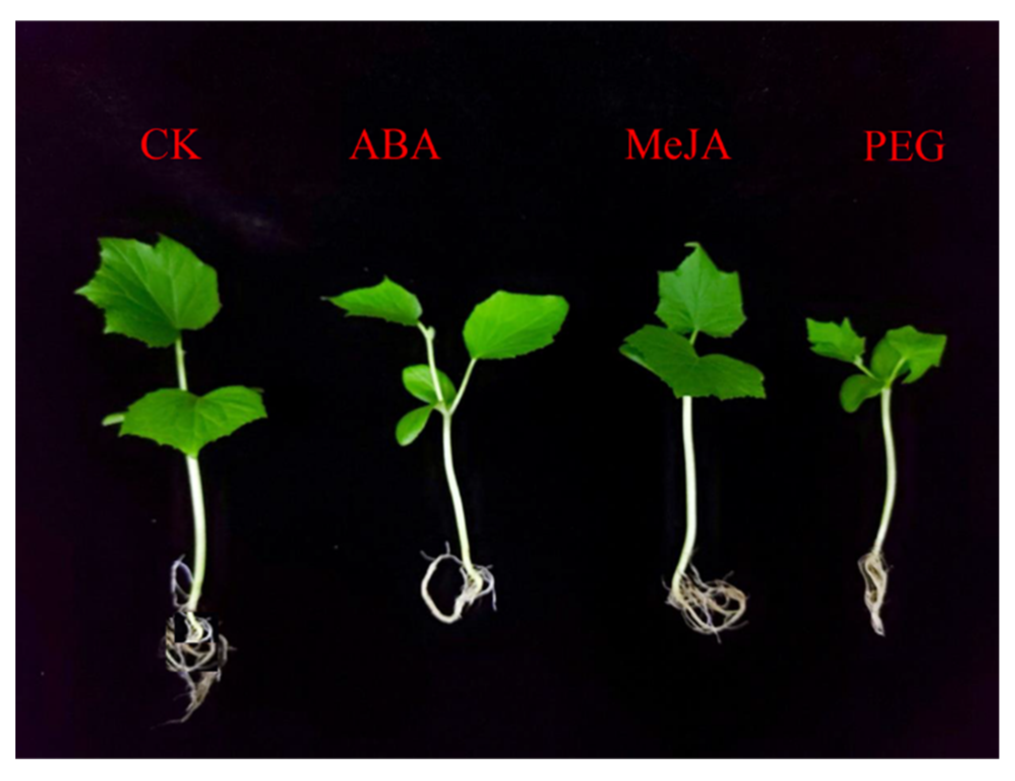Agronomy 12 01550 g009