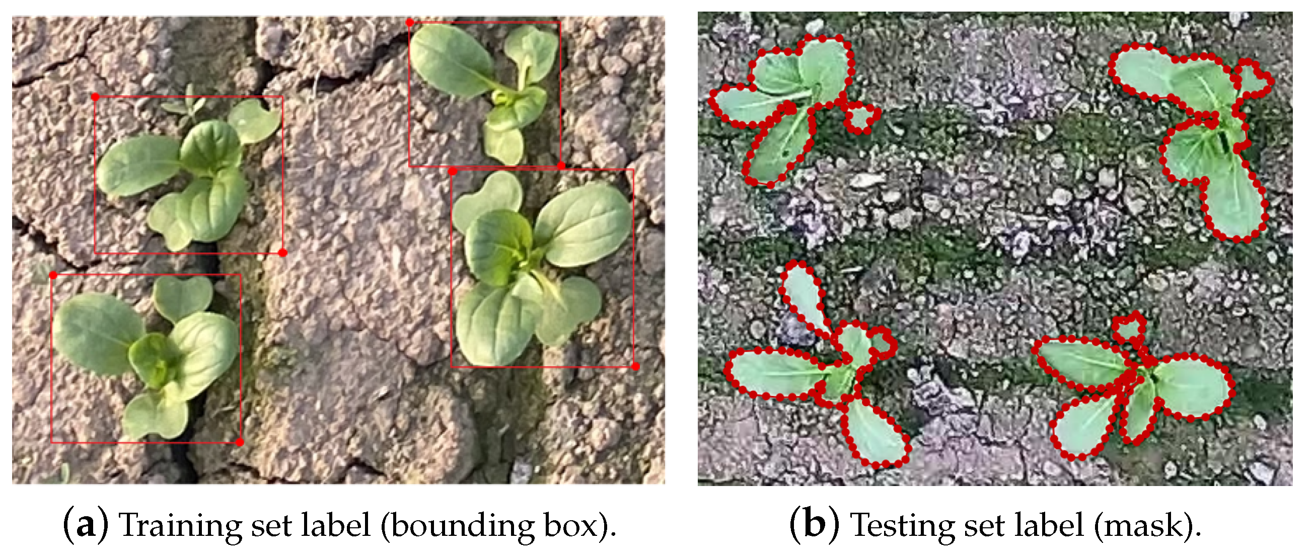 Agronomy 12 01567 g002
