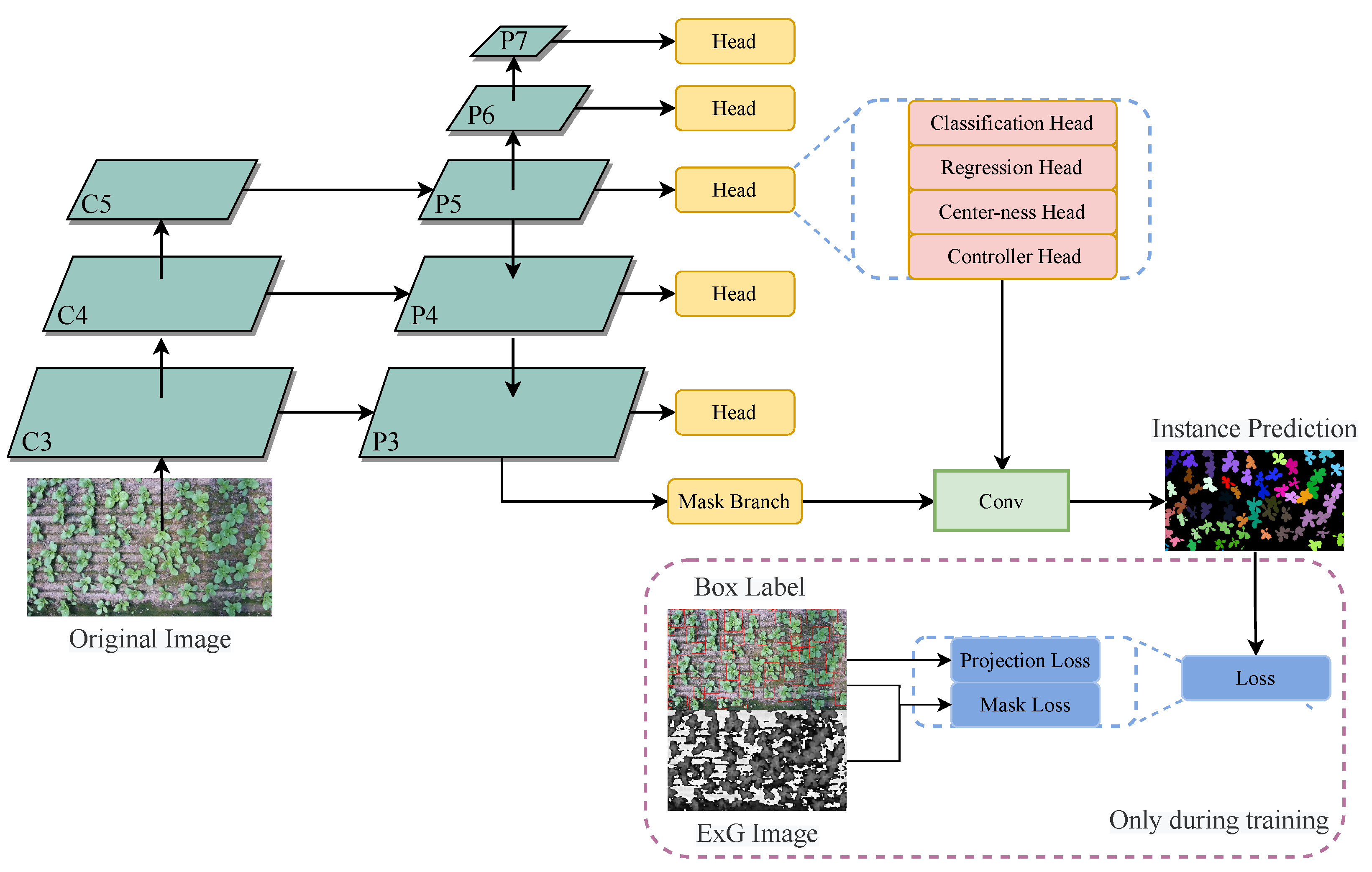 Agronomy 12 01567 g003