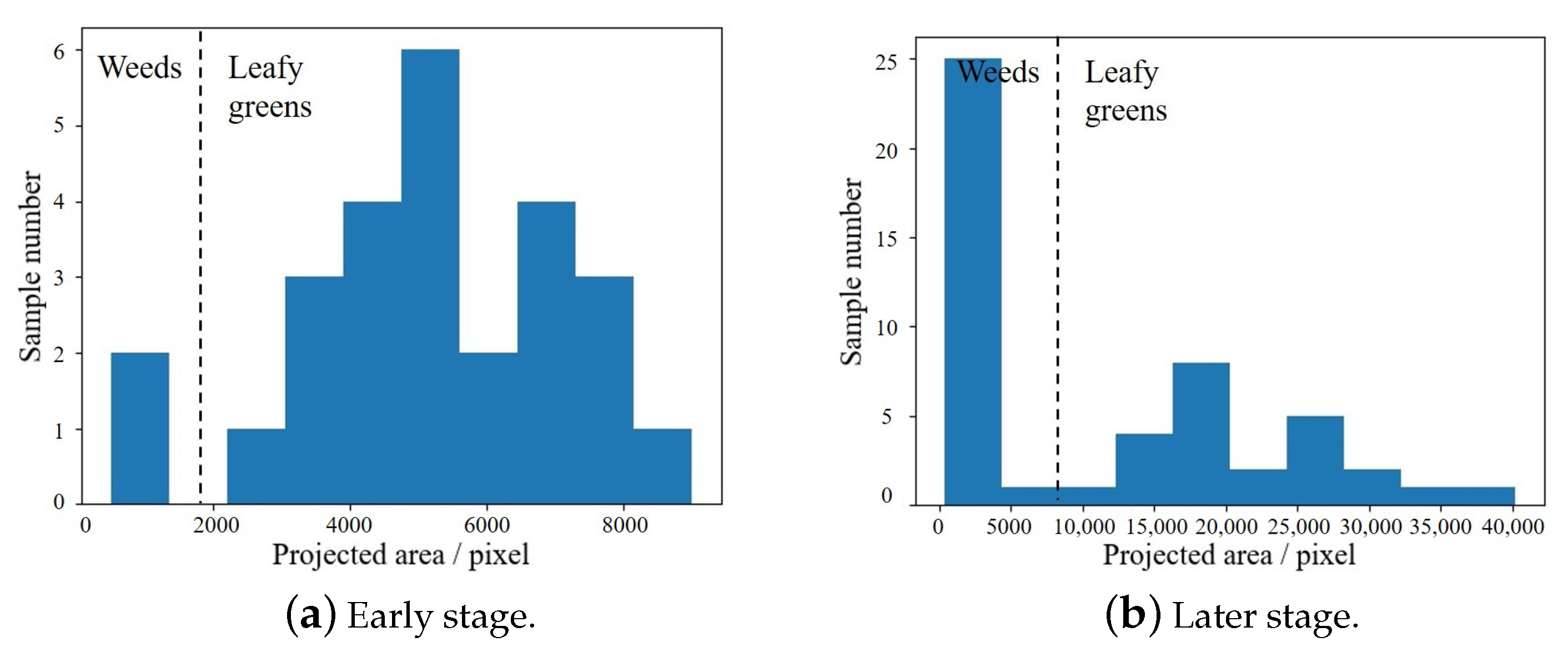 Agronomy 12 01567 g004