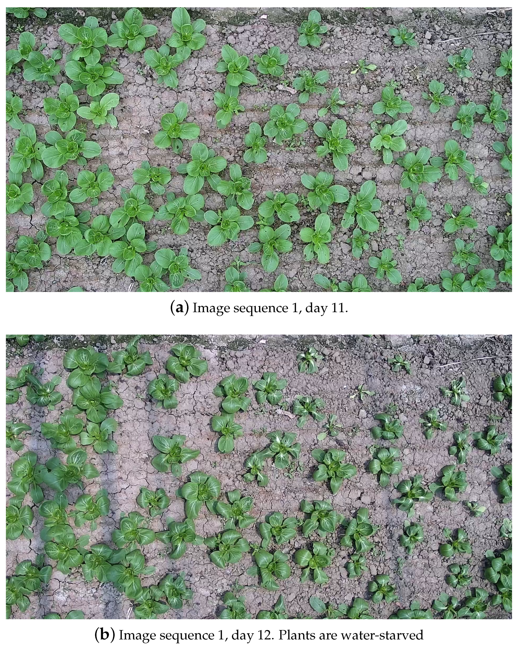 Agronomy 12 01567 g008a