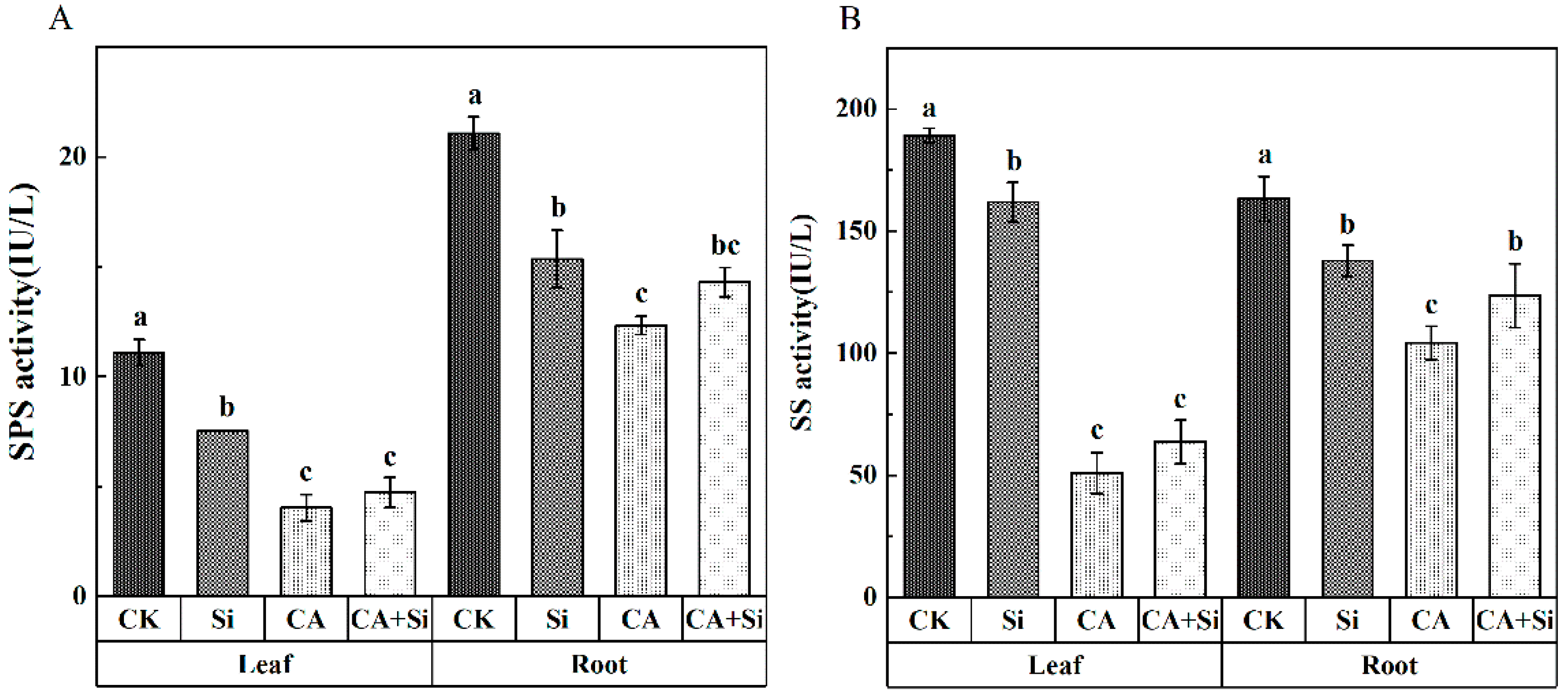 Agronomy 12 01569 g004