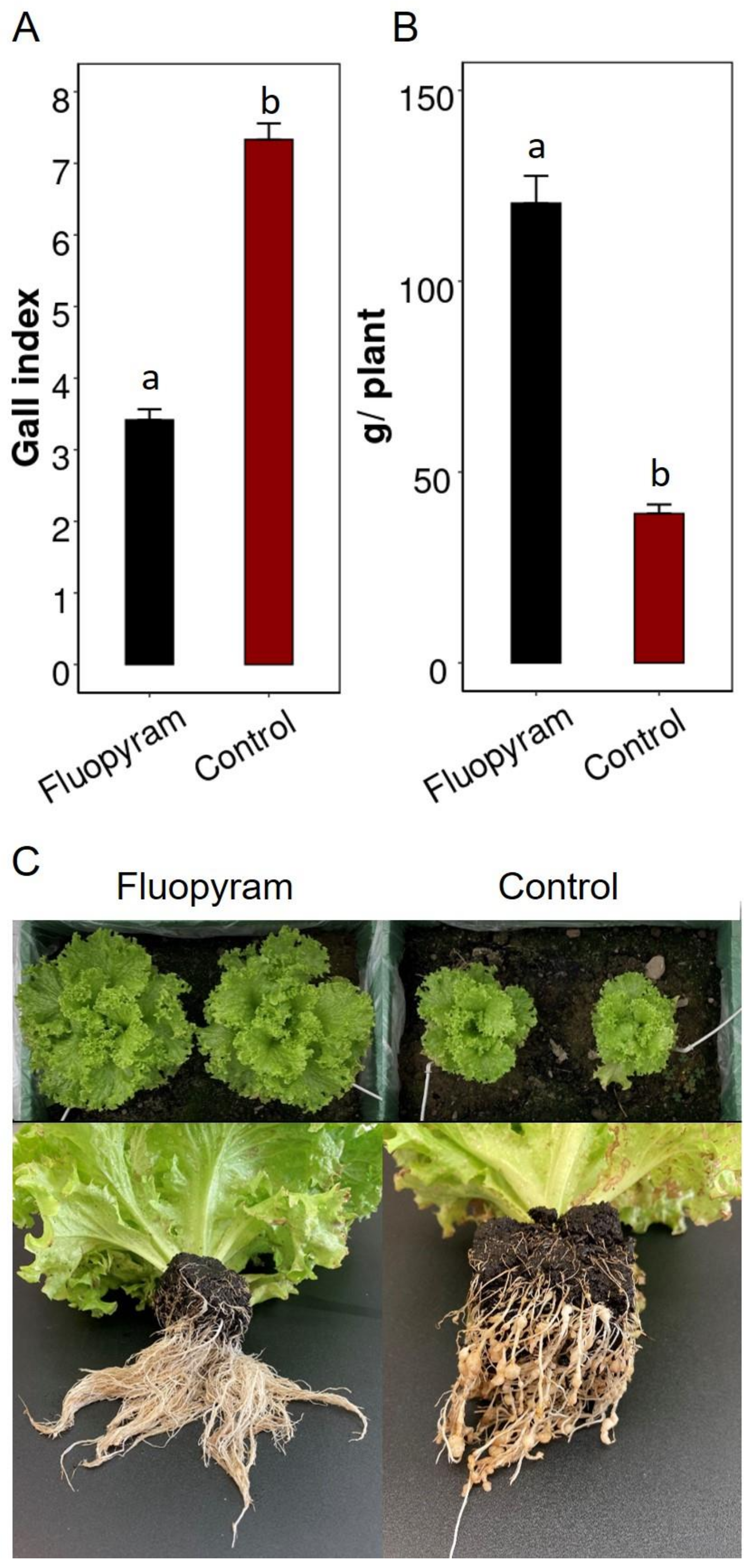 Agronomy 12 01576 g005