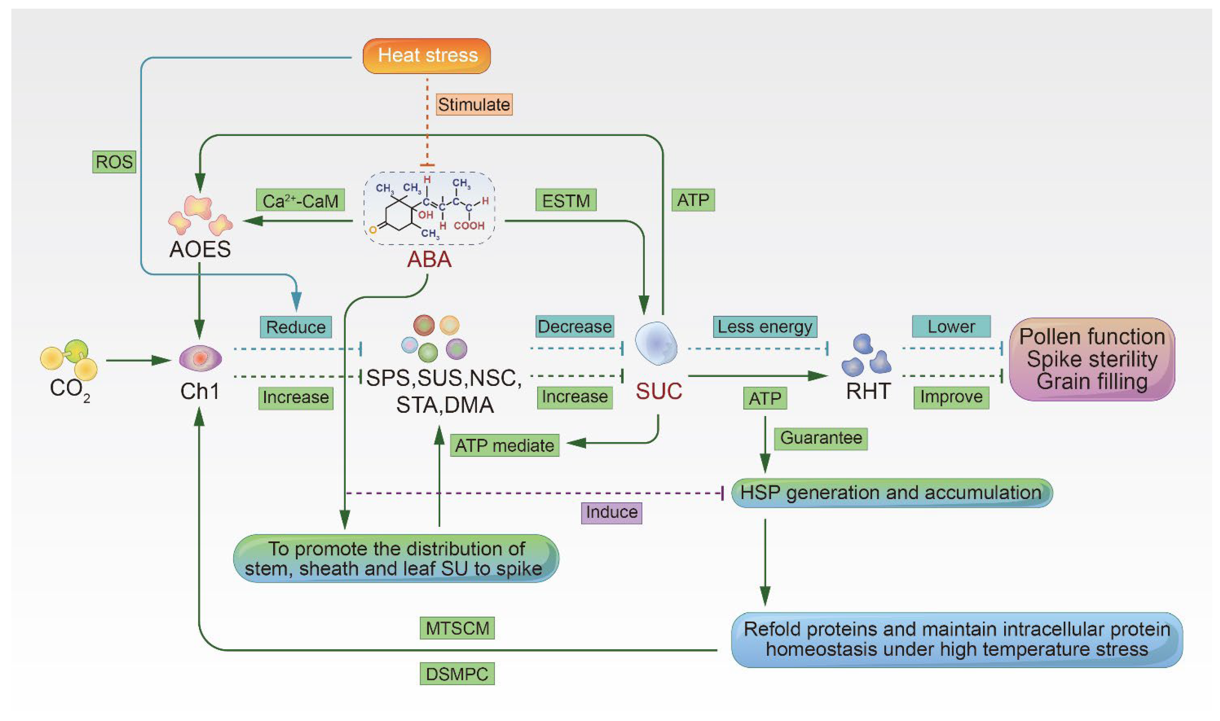 Agronomy 12 01579 g002