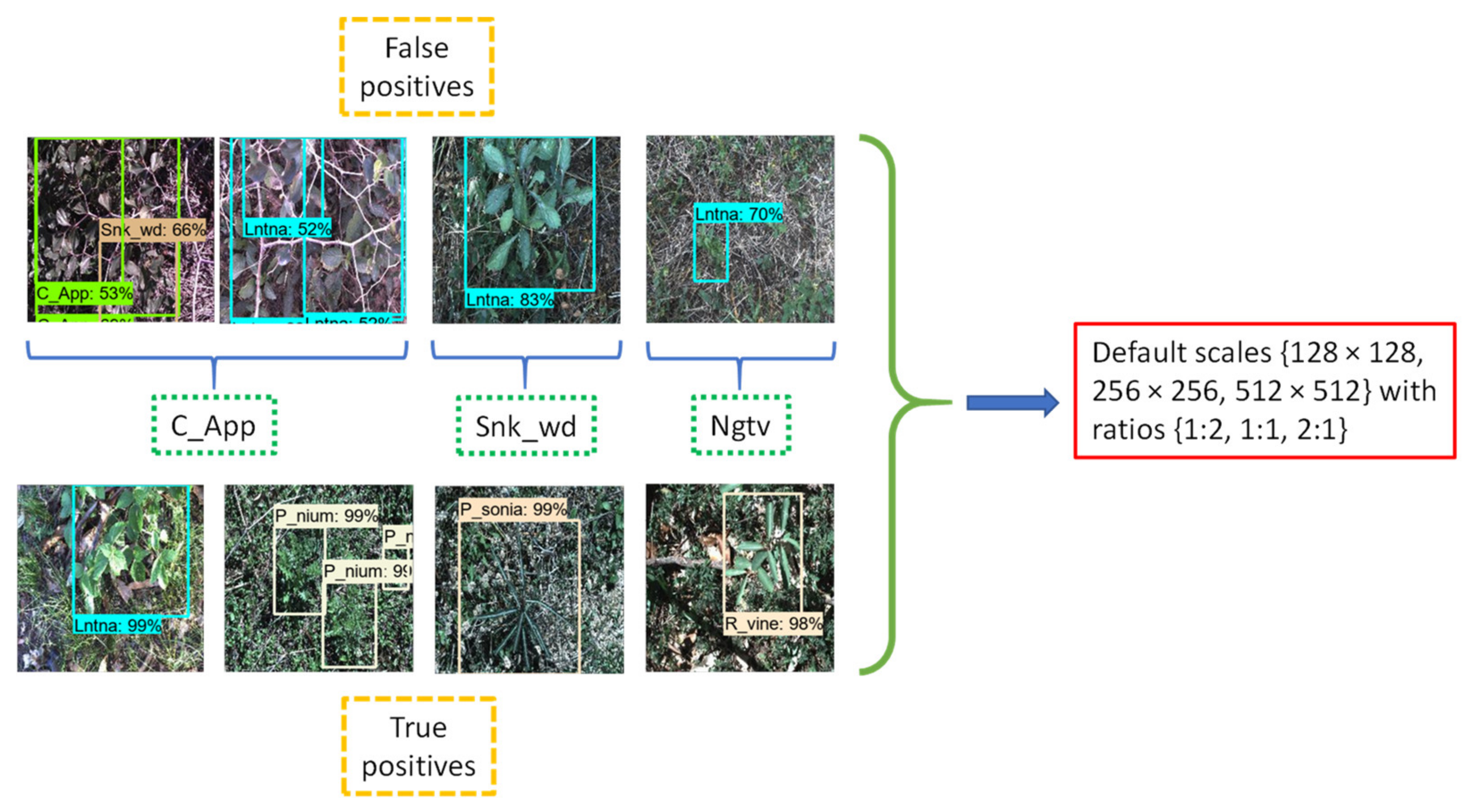 Agronomy 12 01580 g005 550